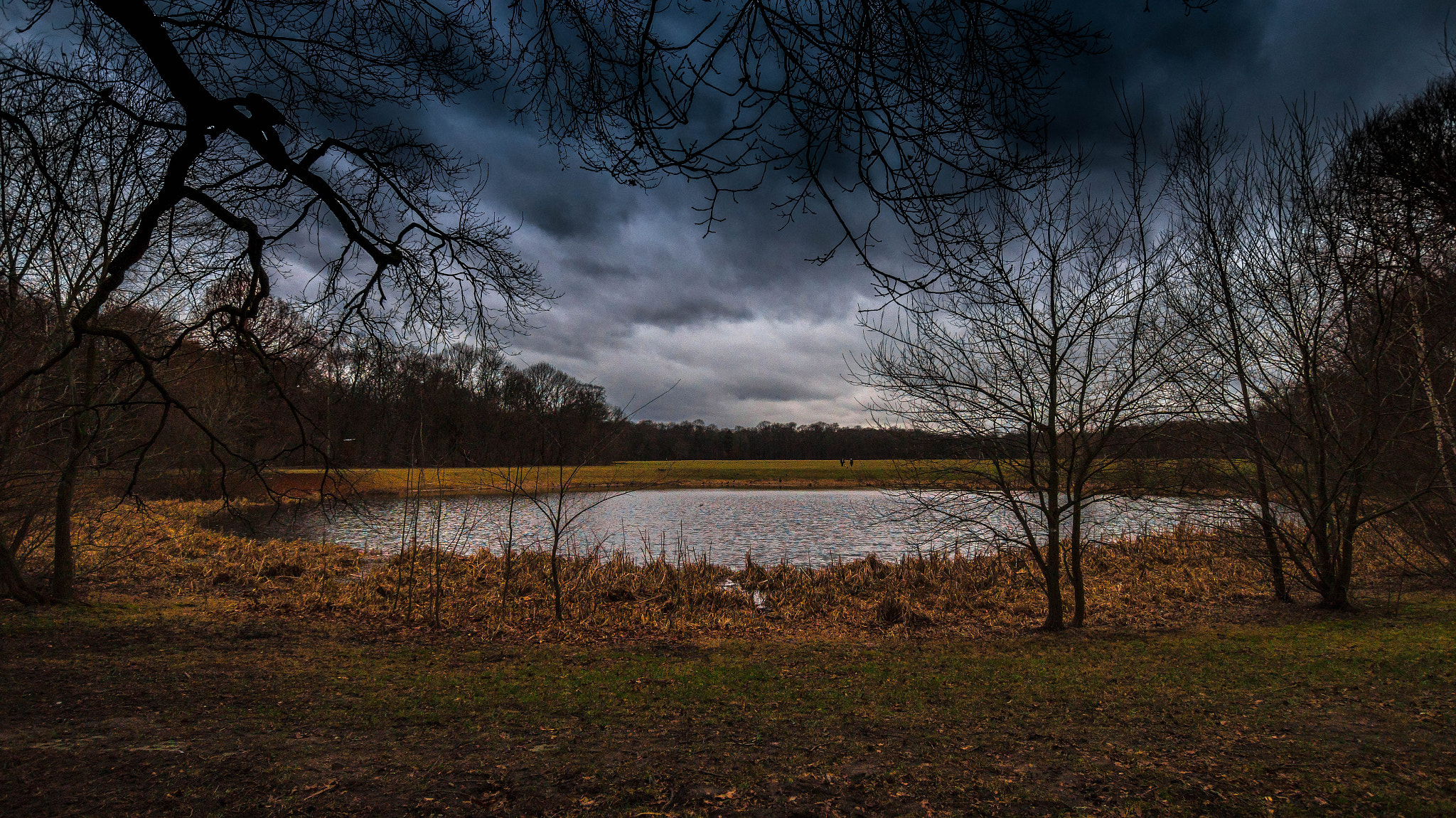 Sony SLT-A58 + Sigma 10-20mm F3.5 EX DC HSM sample photo. Rain and a pond photography