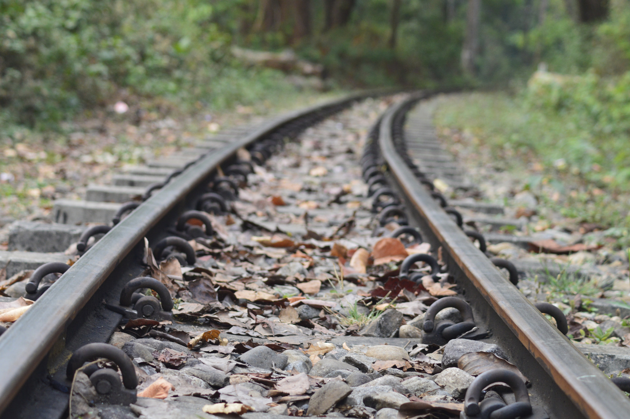 Nikon AF Nikkor 70-300mm F4-5.6G sample photo. Track to heaven... photography
