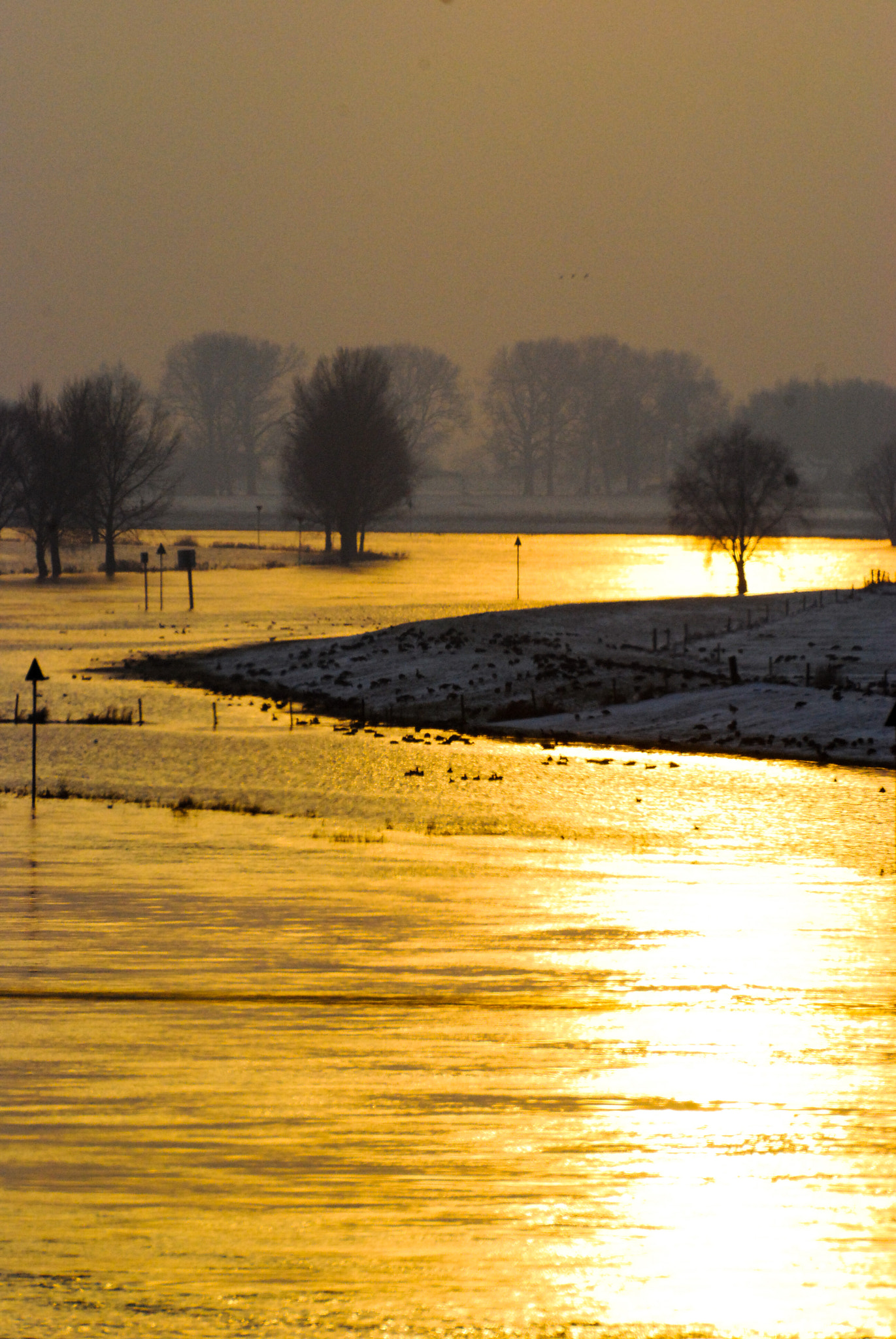 Sigma 135-400mm F4.5-5.6 APO Aspherical sample photo. Martinboeije photography