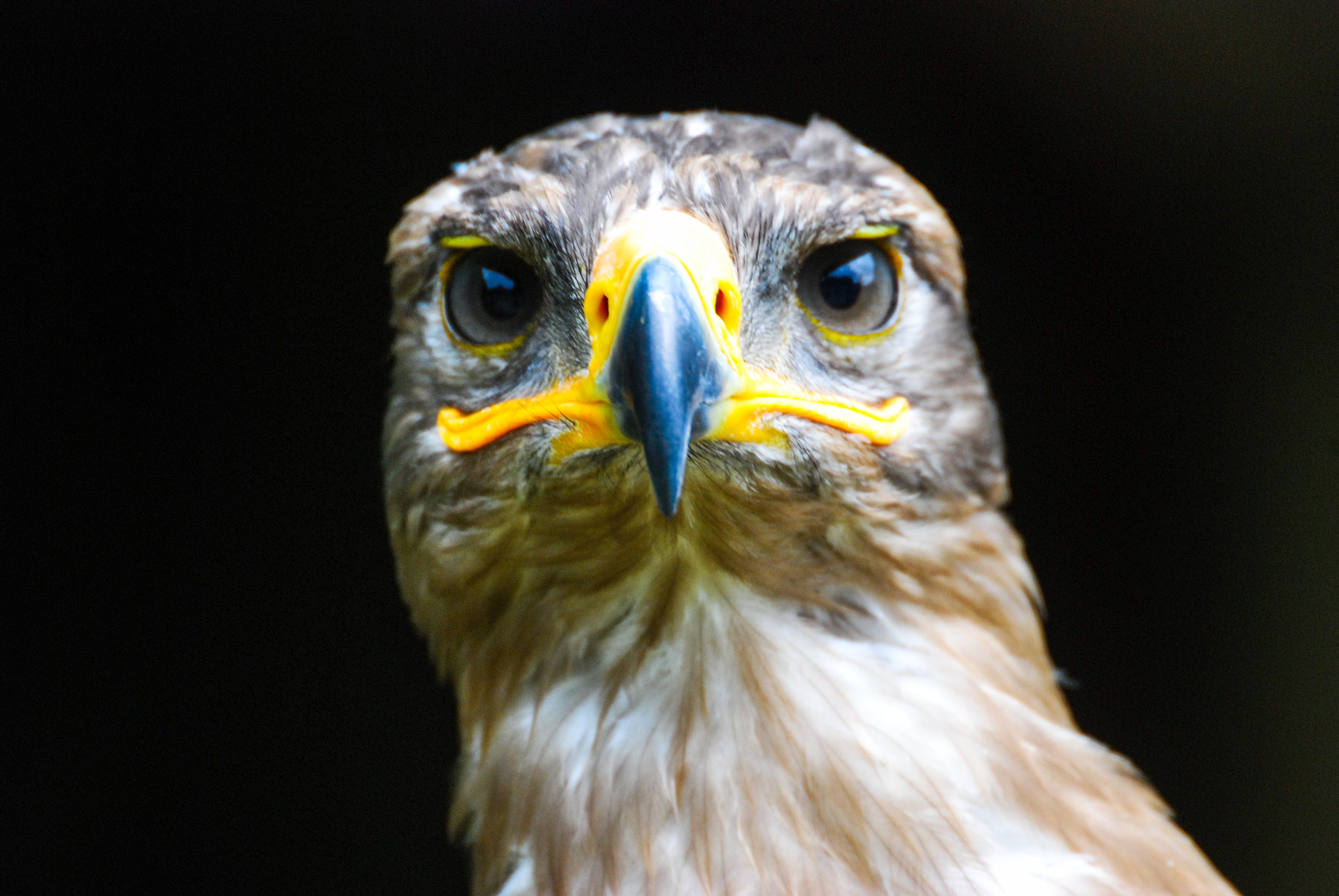 Sigma 135-400mm F4.5-5.6 APO Aspherical sample photo. Martinboeije photography