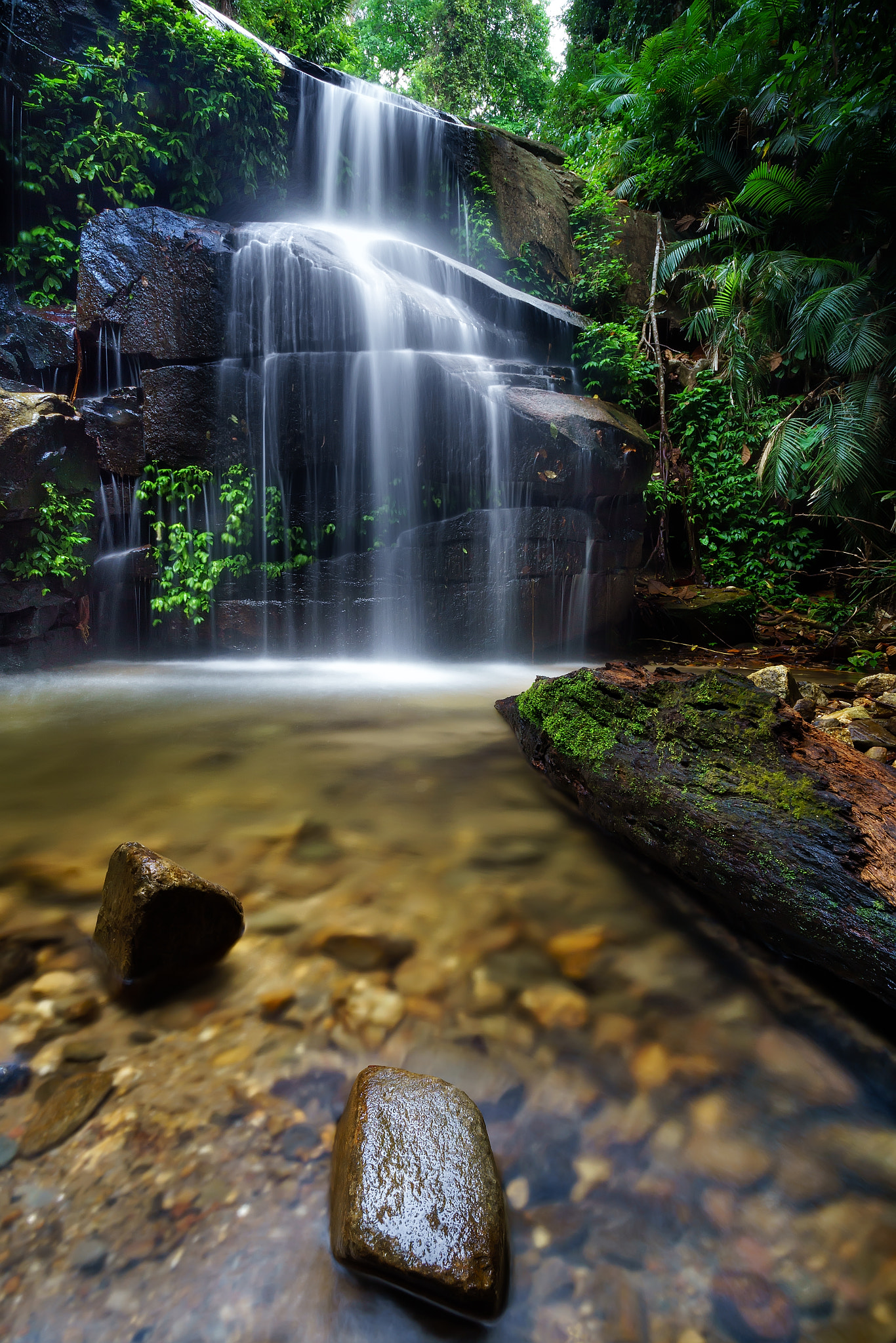 Sony a6000 + Sony DT 50mm F1.8 SAM sample photo. The lost nature ii photography