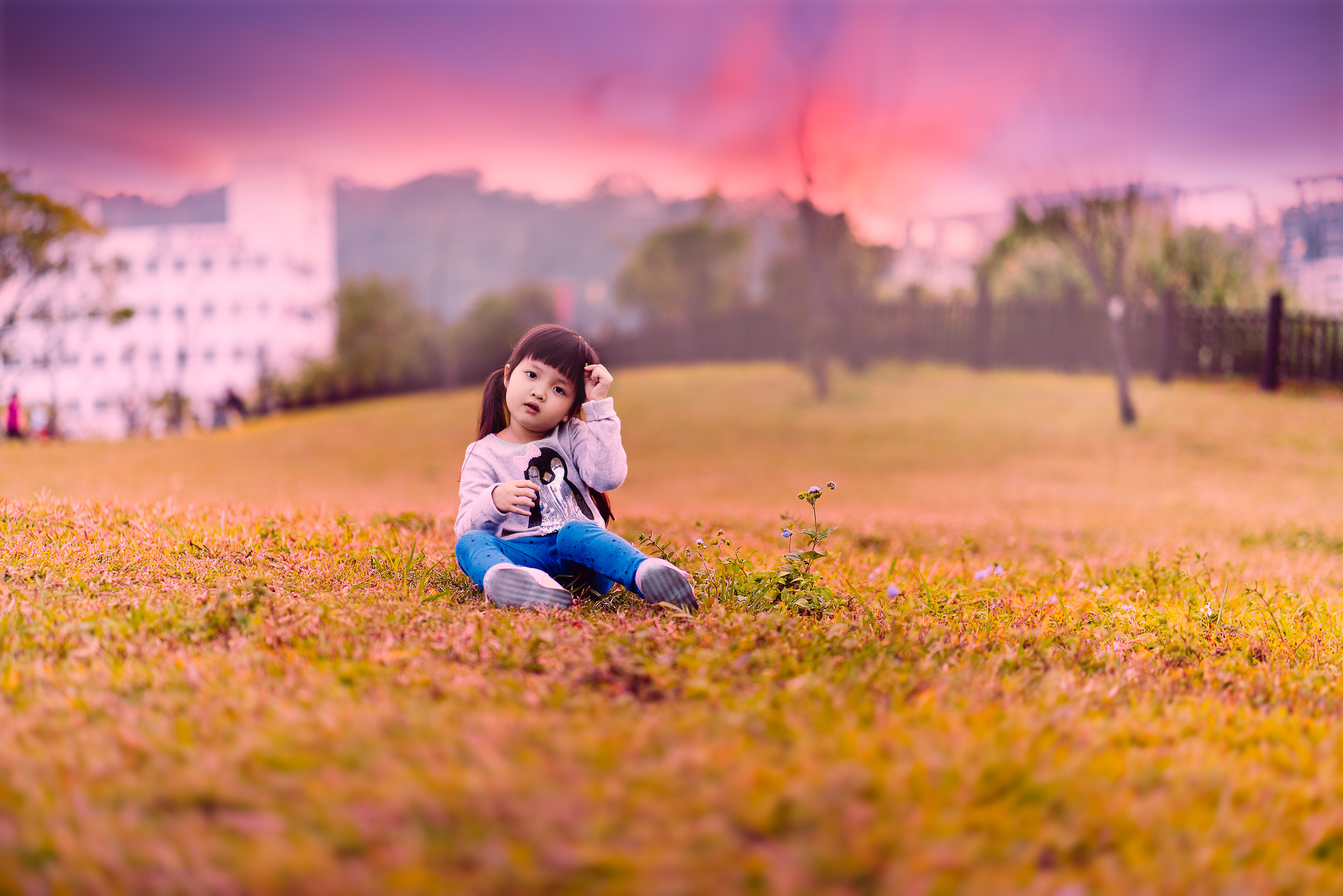 ZEISS Batis 85mm F1.8 sample photo. Magic hour in a park photography
