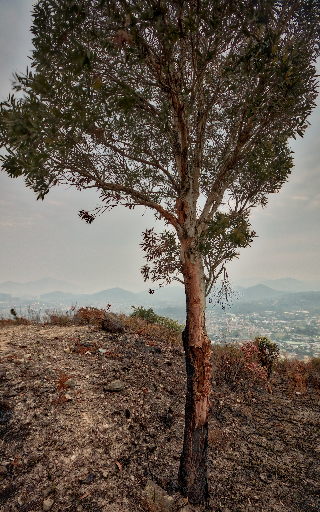 Canon EF 16-35mm F2.8L II USM sample photo. View from the hilltop photography