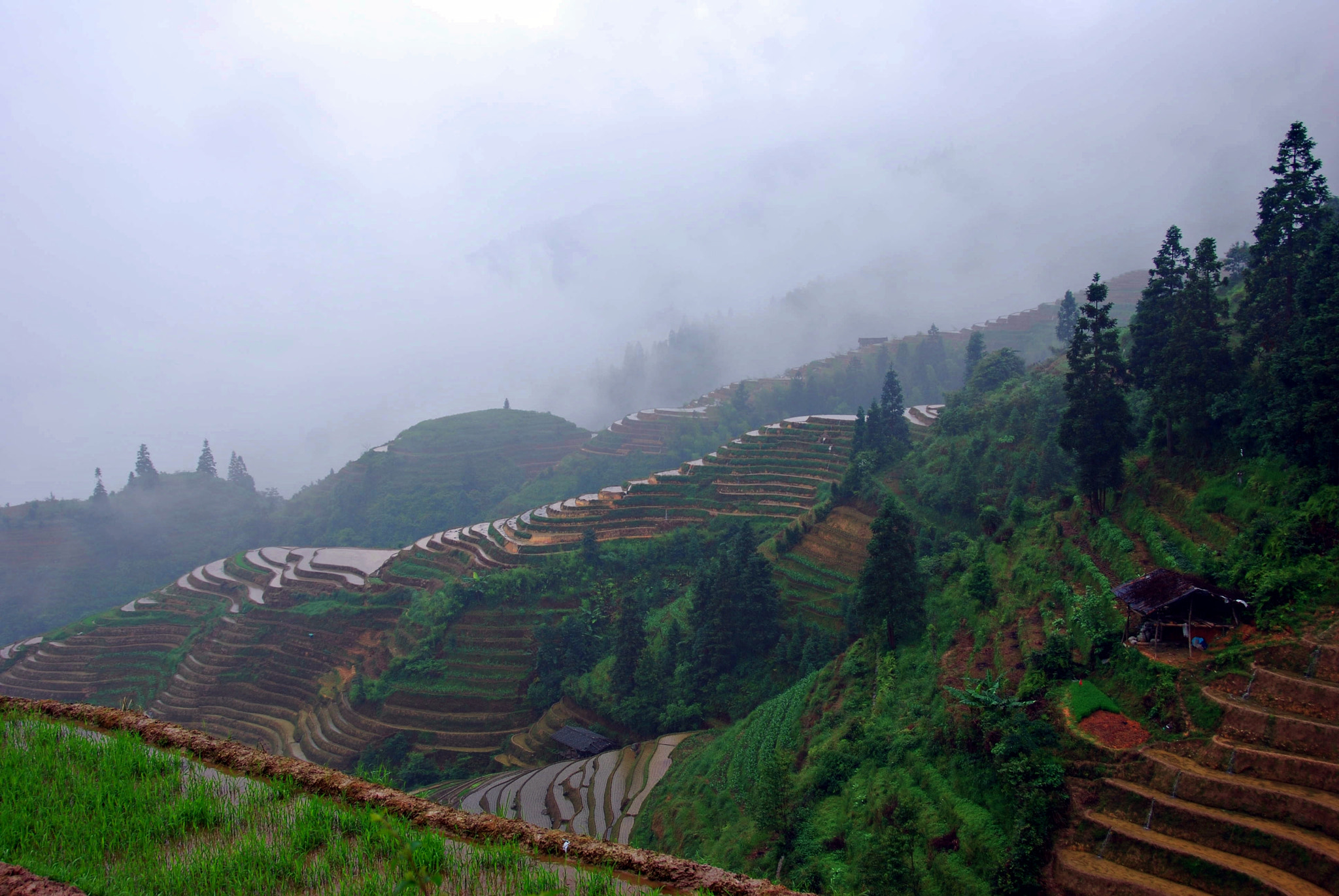 Nikon D40X sample photo. Longsheng rice terrace (龙胜梯田), guangxi, china photography