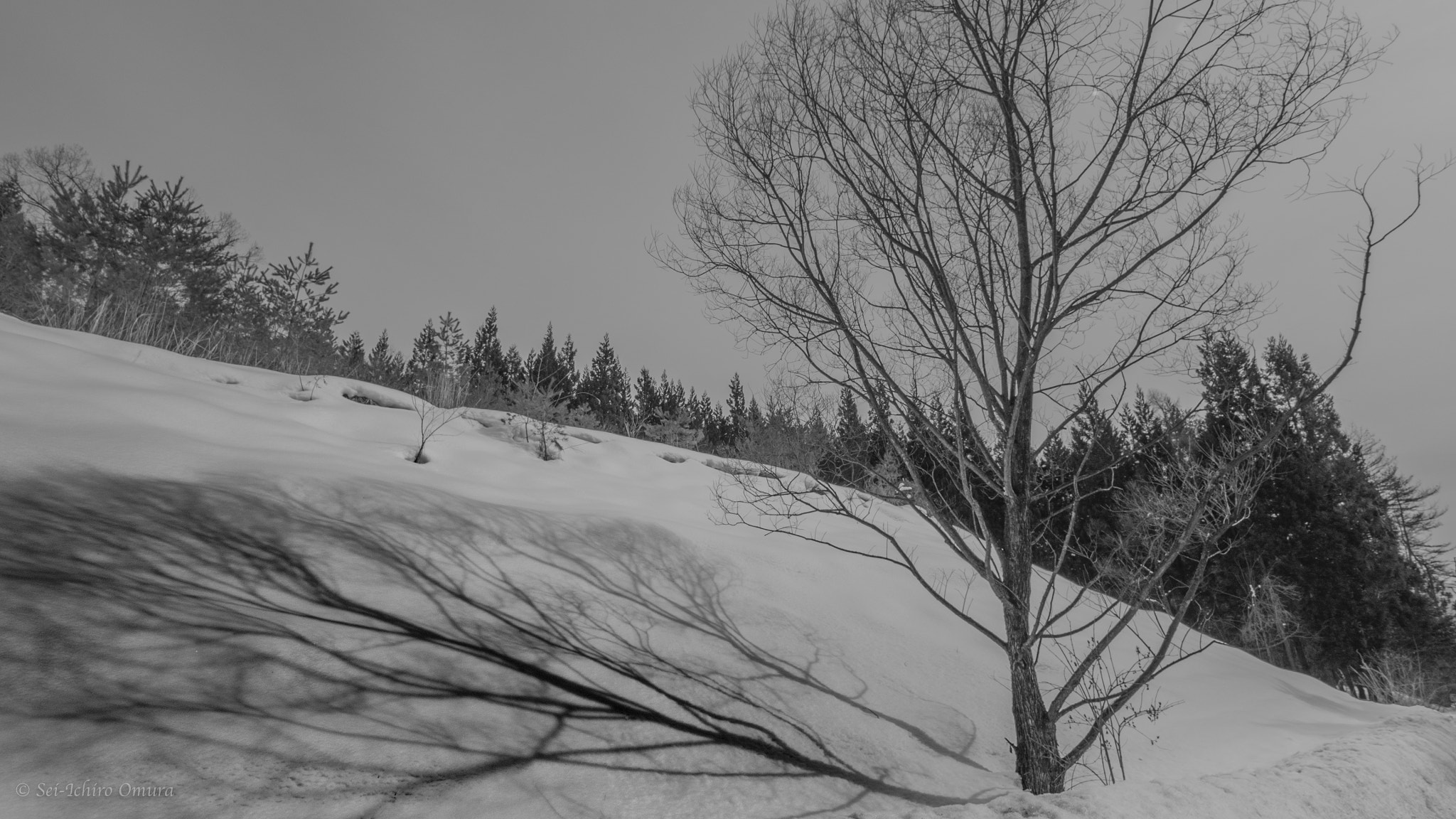 Panasonic Lumix DMC-GH4 + Olympus M.Zuiko Digital ED 7-14mm F2.8 PRO sample photo. Shadow on snow photography