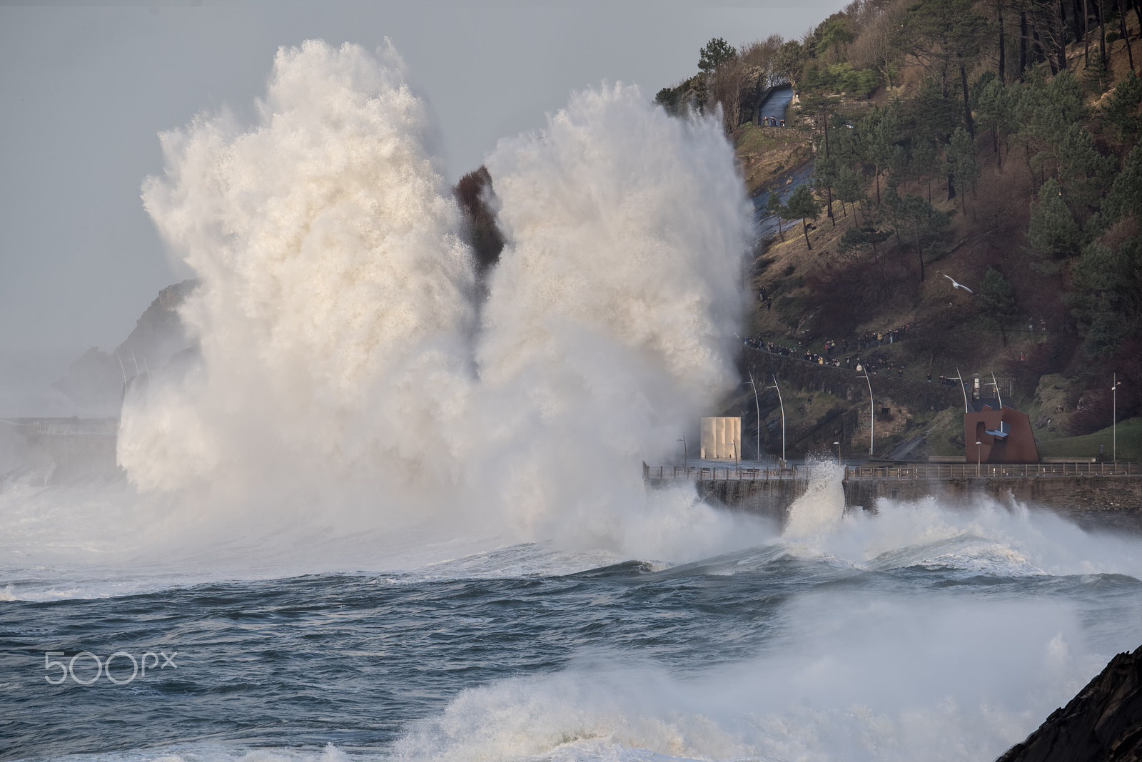 Nikon D810 sample photo. Power of nature photography