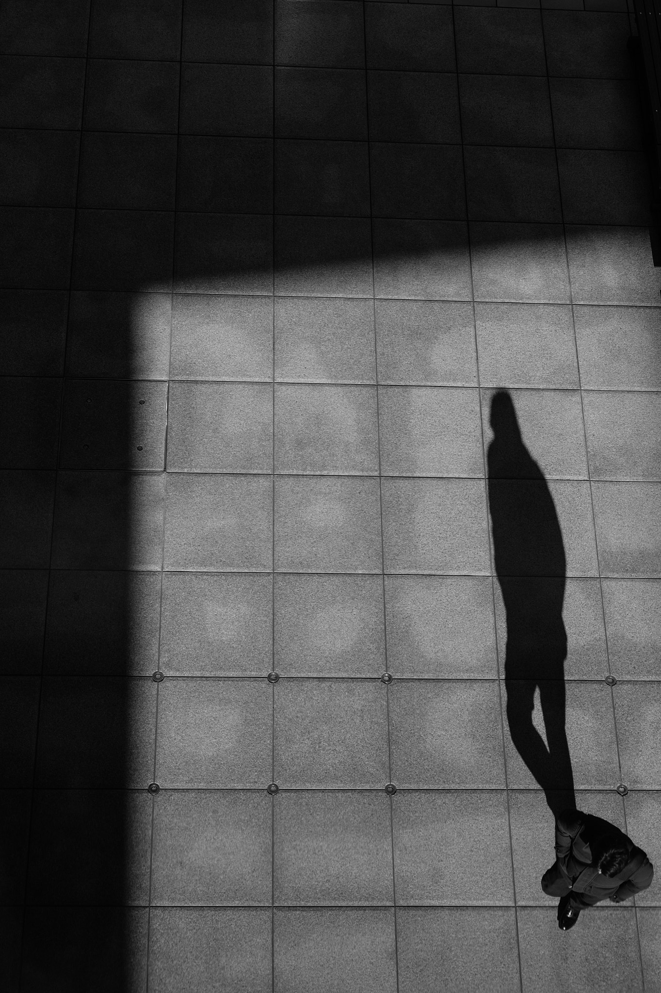 Leica M9 + Summicron-M 50mm f/2 (IV, V) sample photo. Walking shadow photography