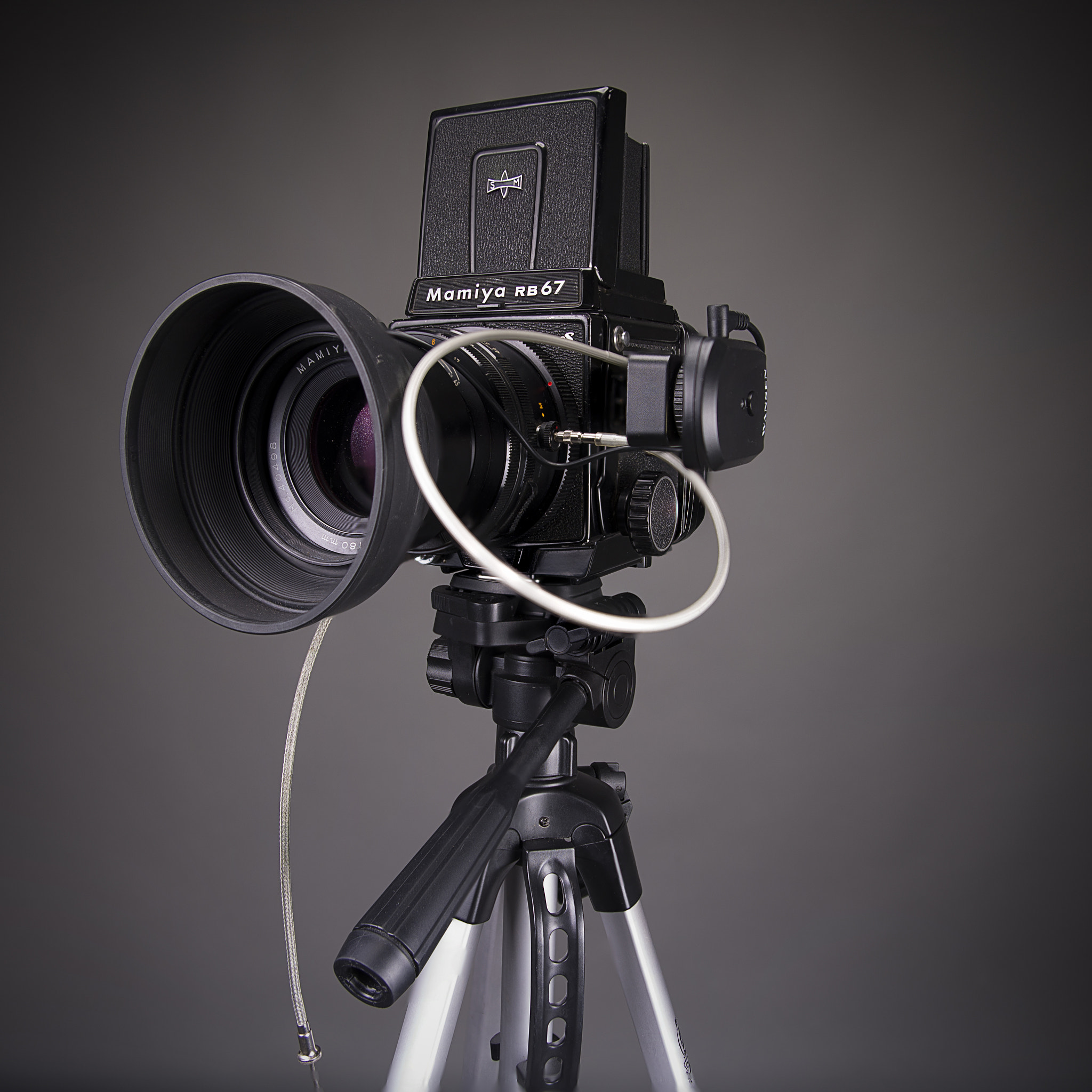 Sigma 24-70mm F2.8 EX DG HSM sample photo. Rb67 focus stacking photography