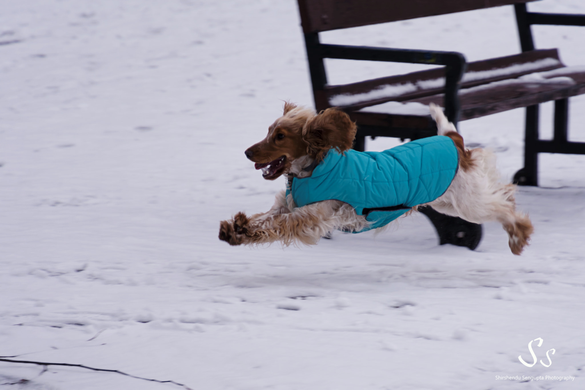 Nikon D7200 sample photo