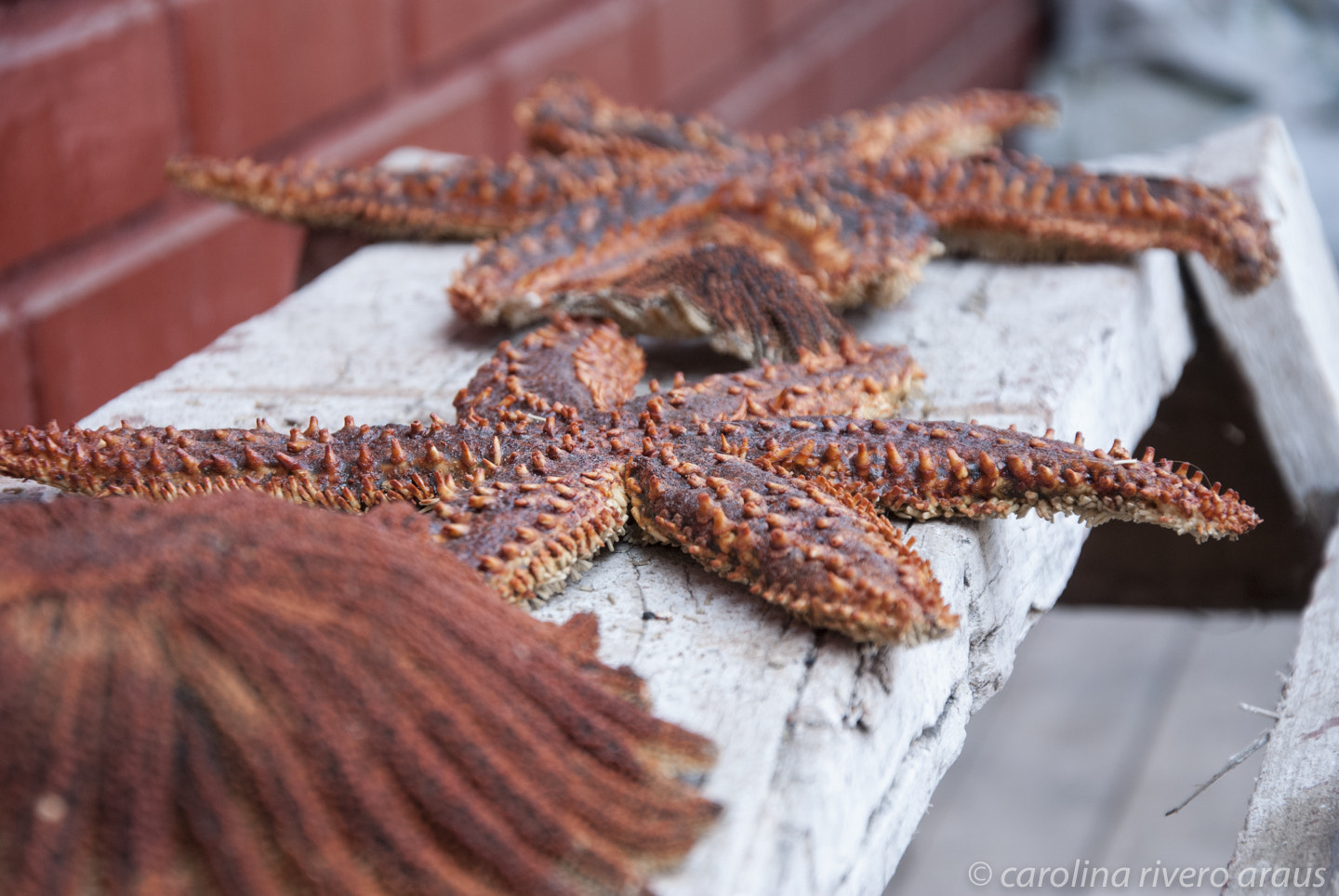 Nikon D80 sample photo. Stars photography