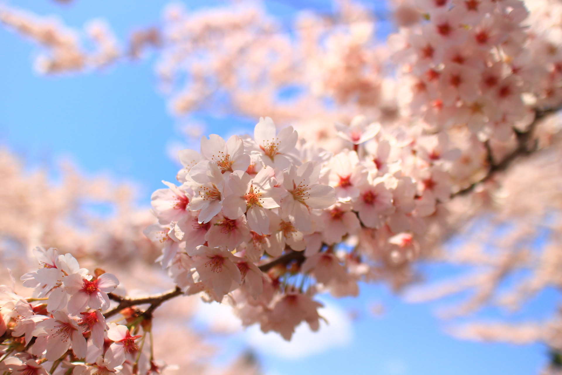 Canon EOS M2 sample photo