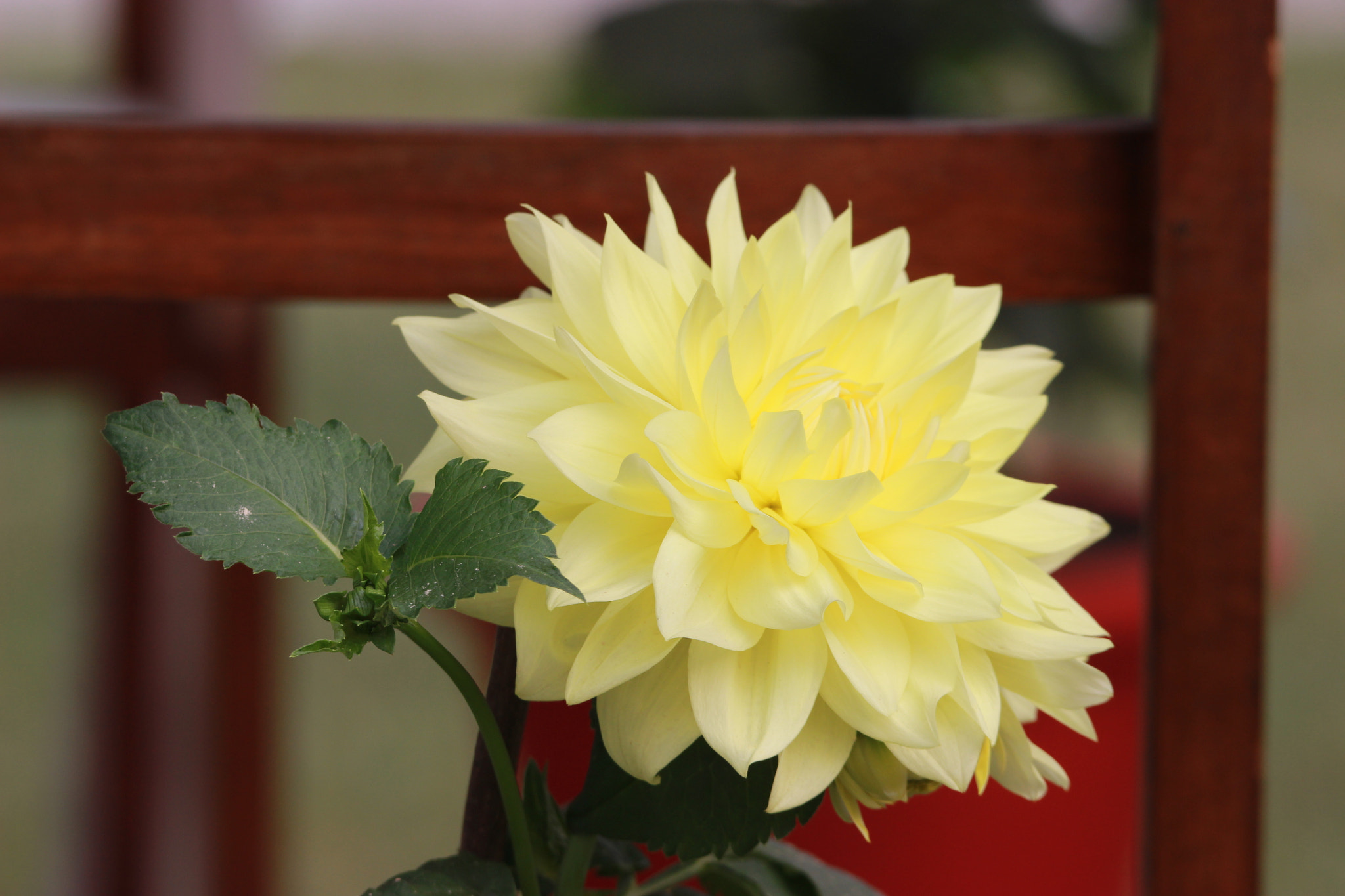 Tamron SP 150-600mm F5-6.3 Di VC USD sample photo. Img photography