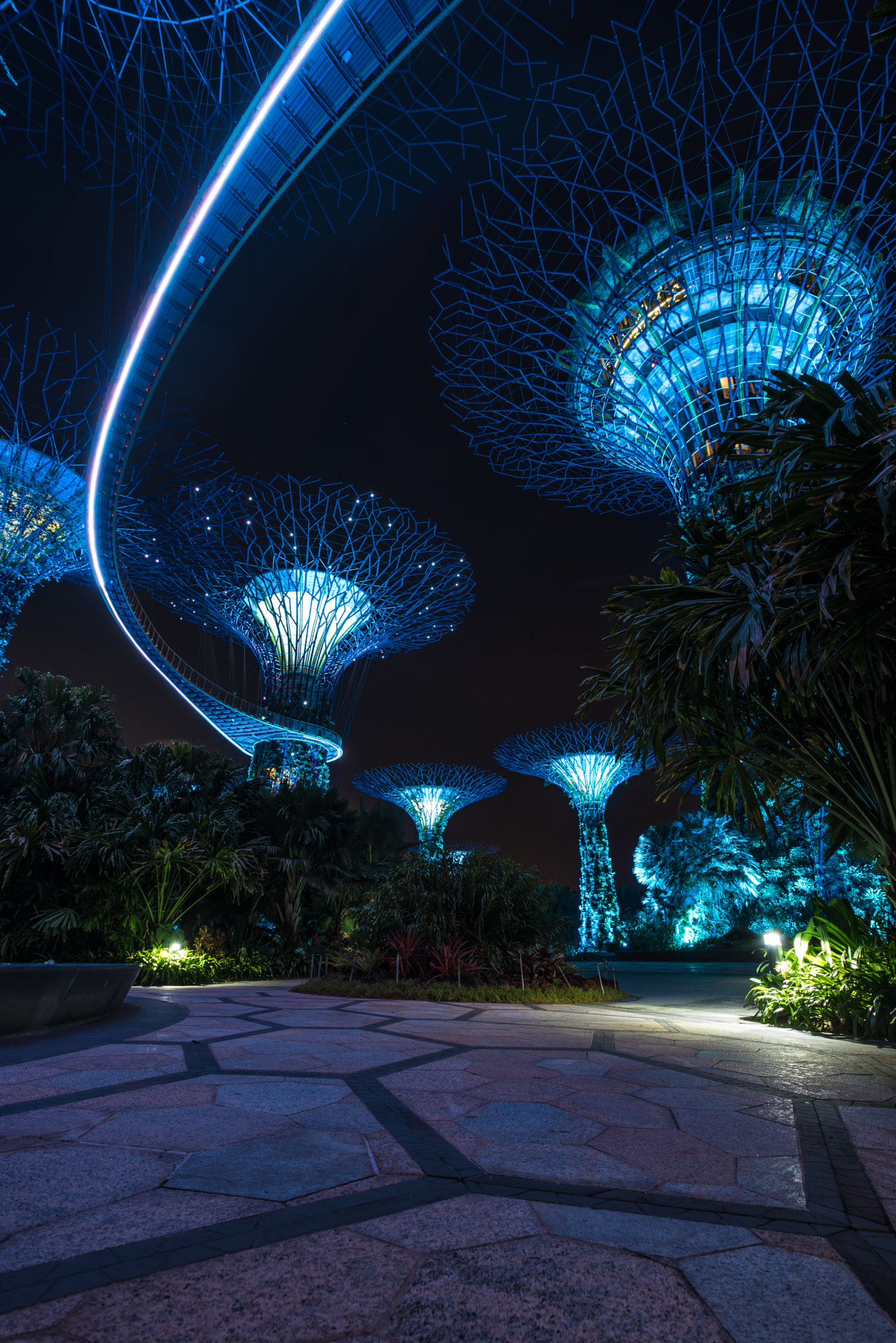 Nikon AF-S Nikkor 17-35mm F2.8D ED-IF sample photo. Enchanted forest photography