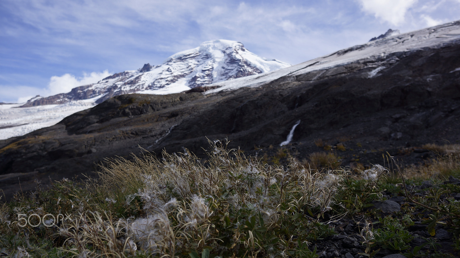 Sony Alpha NEX-7 + Sigma 19mm F2.8 EX DN sample photo. Heliotrope ridge photography