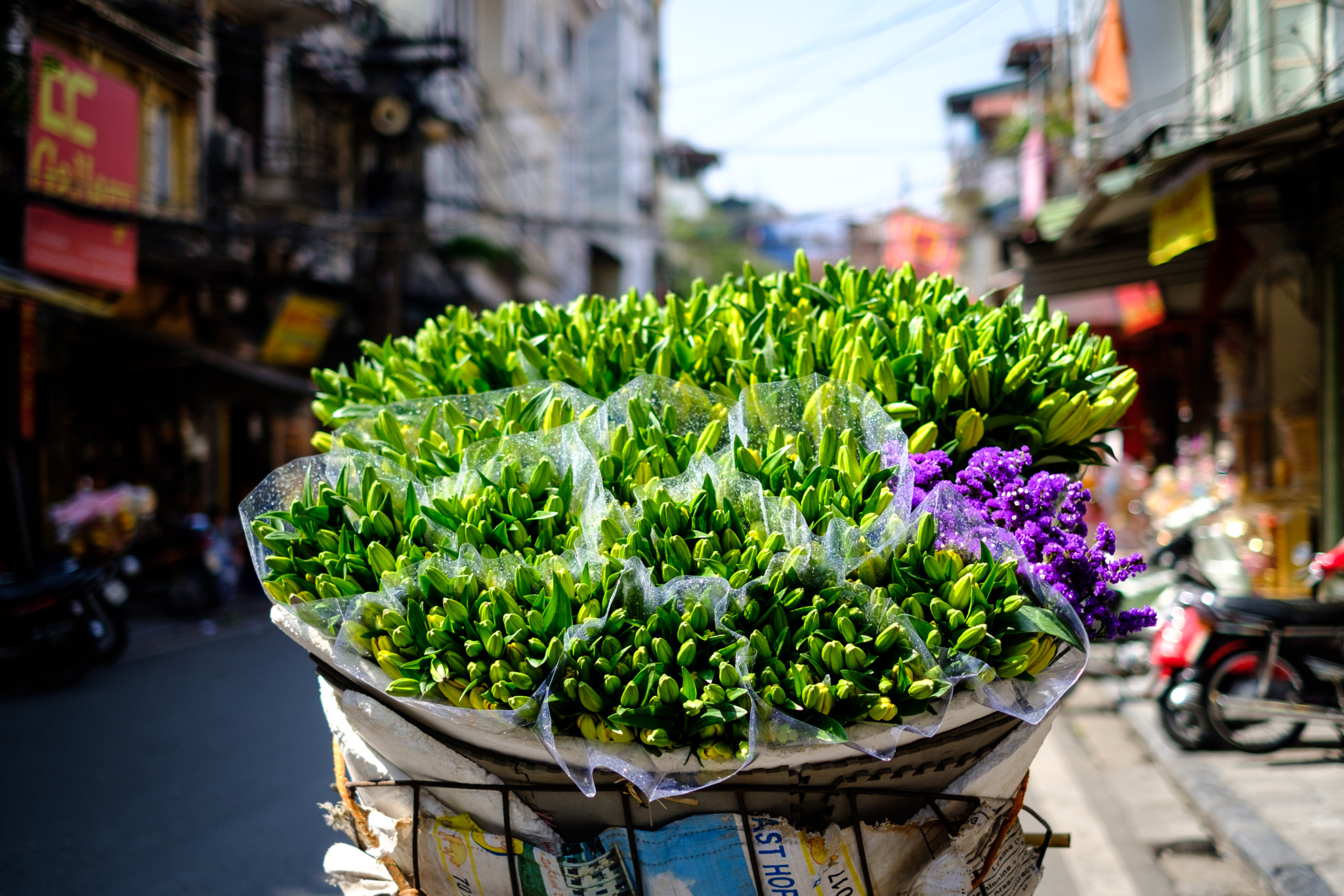 Fujifilm X-Pro2 + Fujifilm XF 35mm F1.4 R sample photo. Flowers for sale in hanoi photography