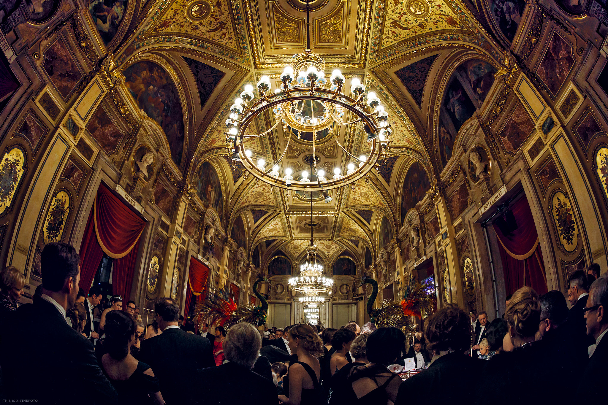 Canon EF 8-15mm F4L Fisheye USM sample photo. Opernball wien 2017-02-23 photography