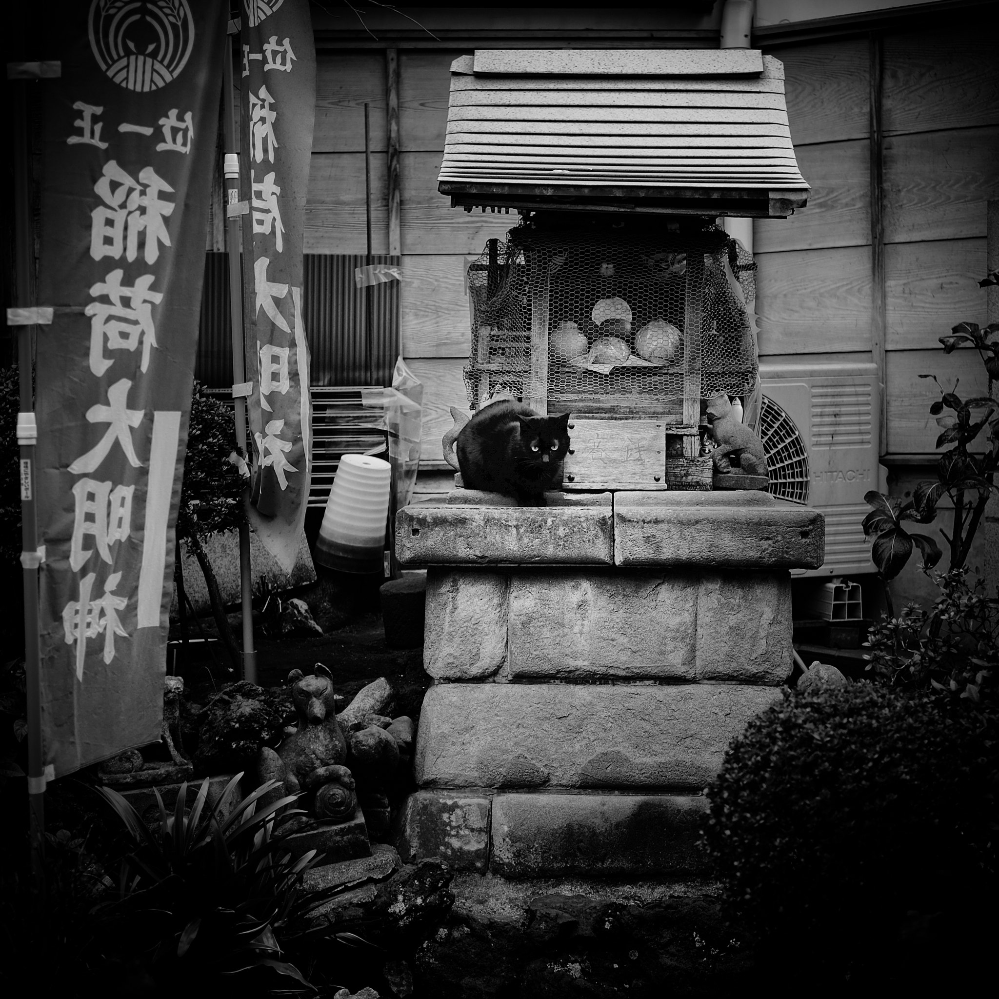 Fujifilm X-E2 + Fujifilm XF 35mm F2 R WR sample photo. Edit photography