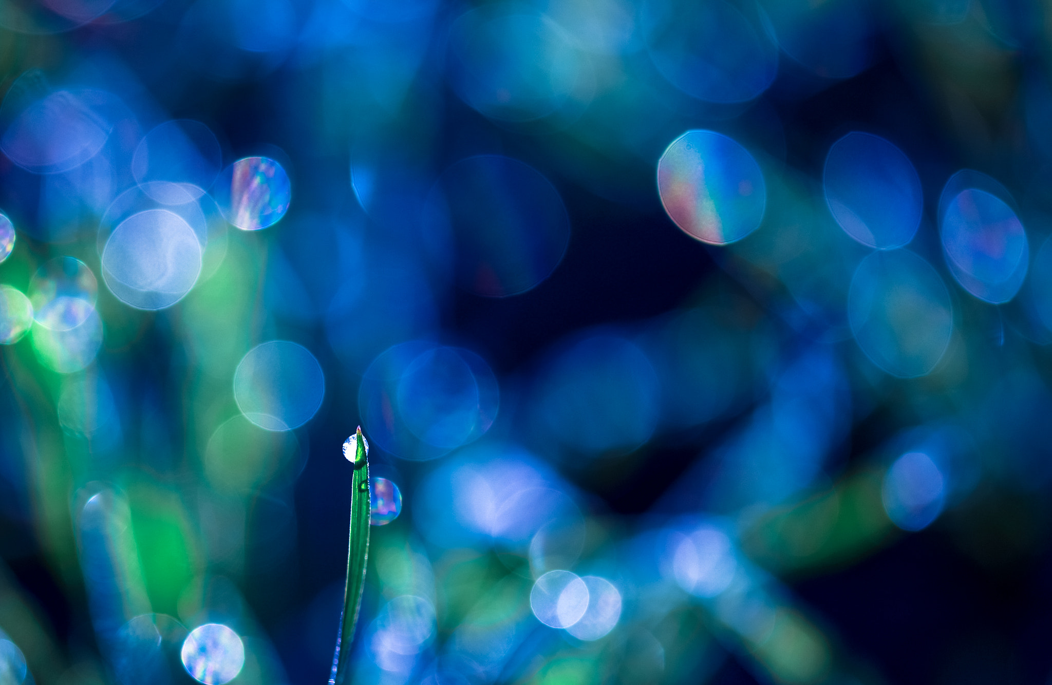 Sigma 105mm F2.8 EX DG OS HSM sample photo. Droplet... photography