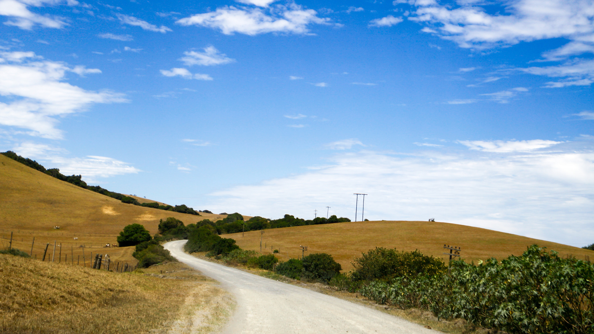 Canon EF 300mm f/2.8L sample photo. Dusty road leading to the fields of green grass  photography