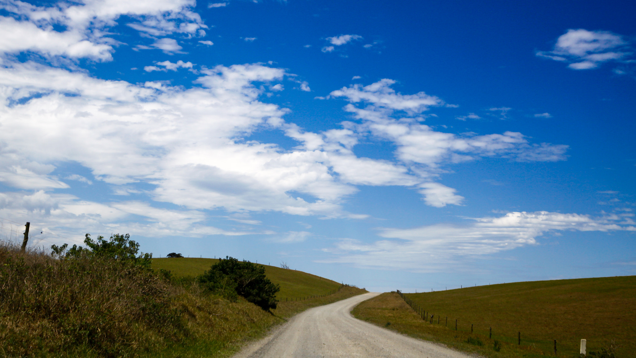 Canon EF 300mm f/2.8L sample photo. Dusty road with green grass photography