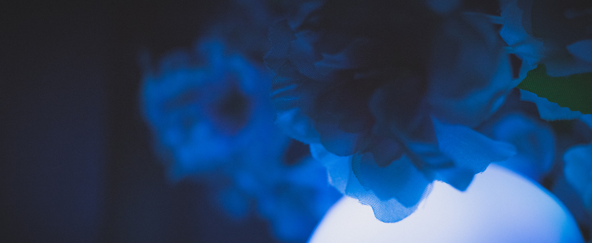 Canon EF-S 24mm F2.8 STM sample photo. Dyed photography
