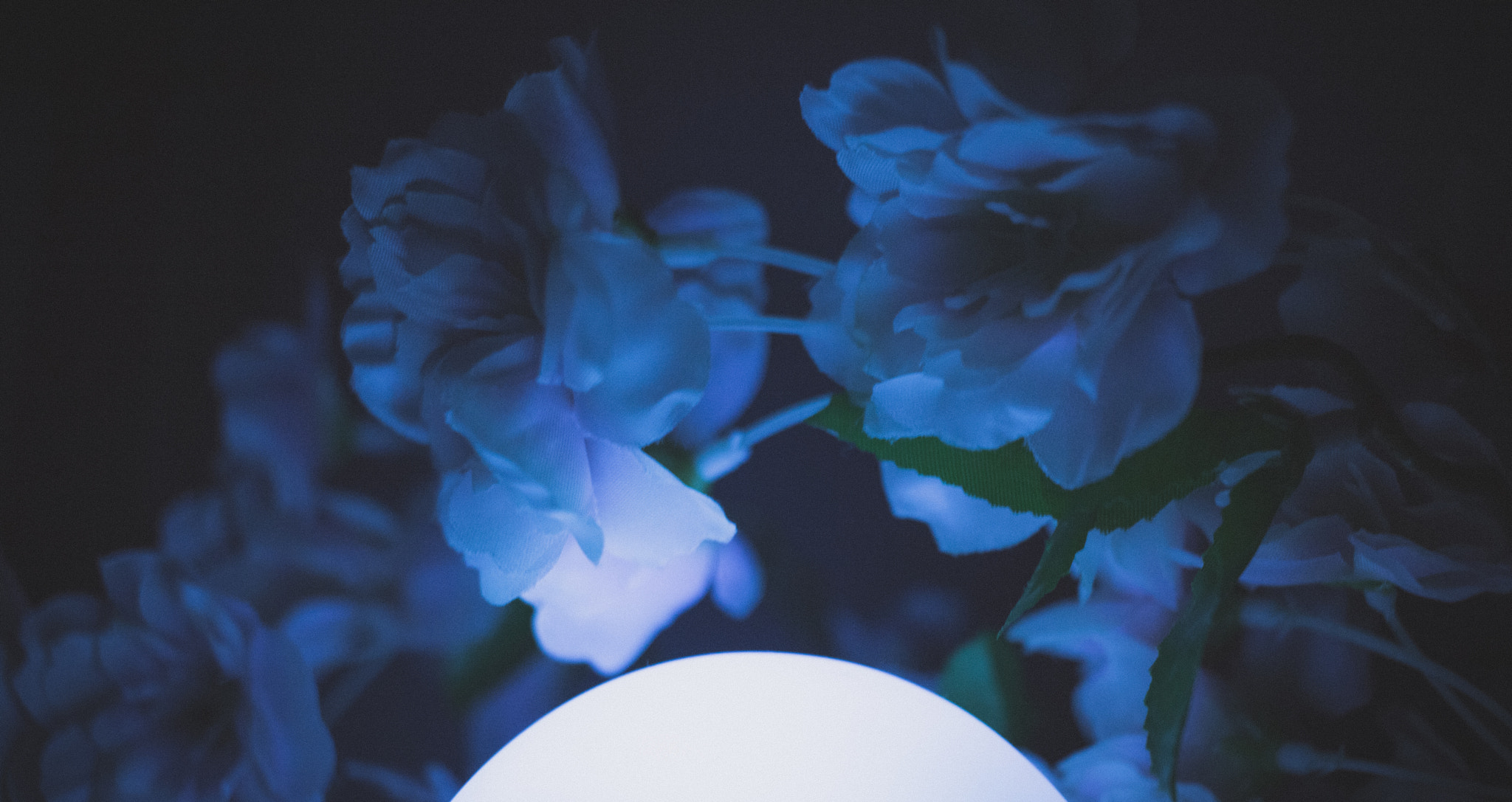 Canon EF-S 24mm F2.8 STM sample photo. Illuminate photography