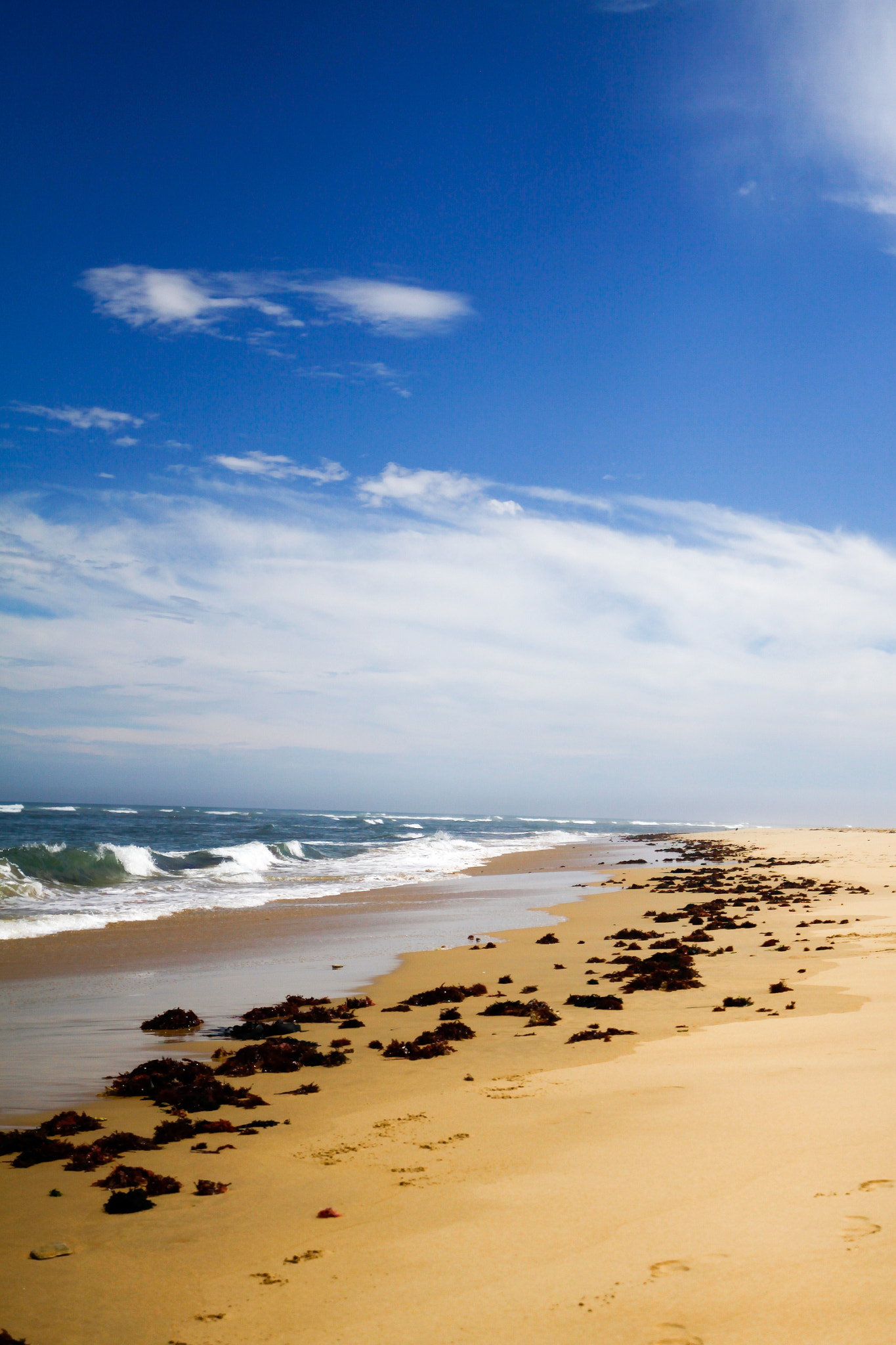 Canon EF 300mm f/2.8L sample photo. Seagrass all along the path on the sand  photography