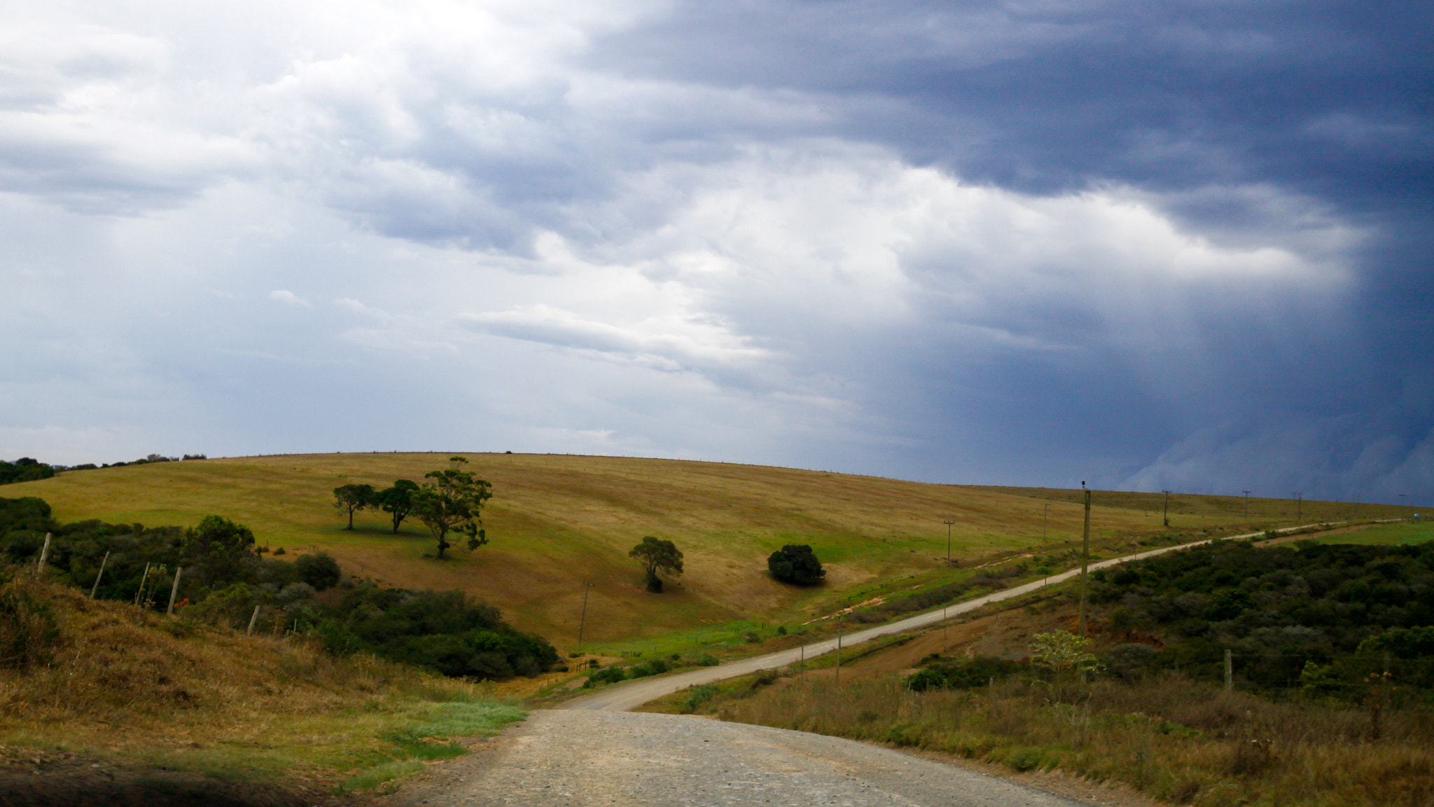 Canon EOS 50D + Canon EF 300mm f/2.8L sample photo. Fields of grass on the dusty road photography