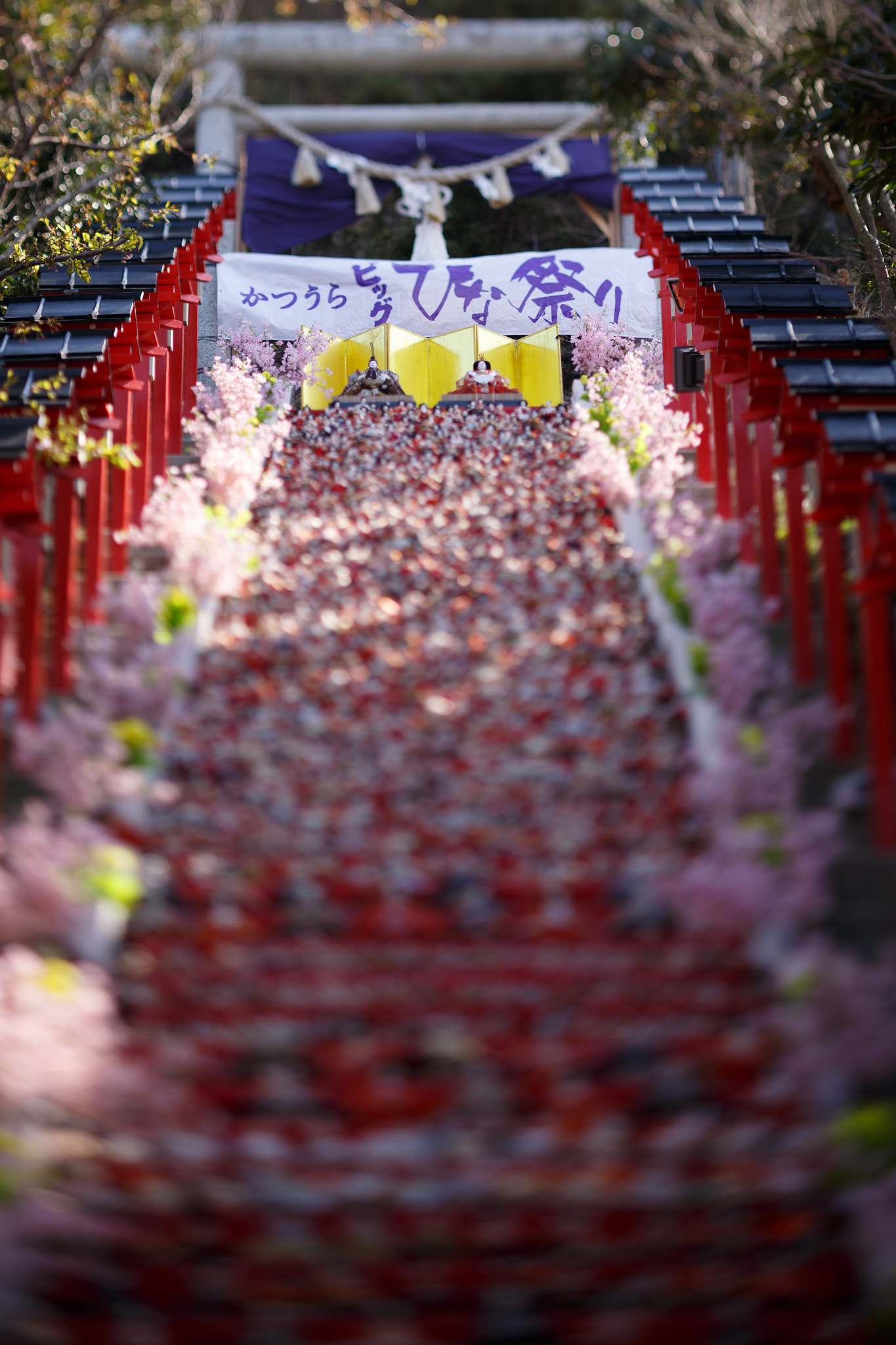 Canon TS-E 90mm F2.8 Tilt-Shift sample photo. かつうらビッグひな祭り、遠見岬神社 photography