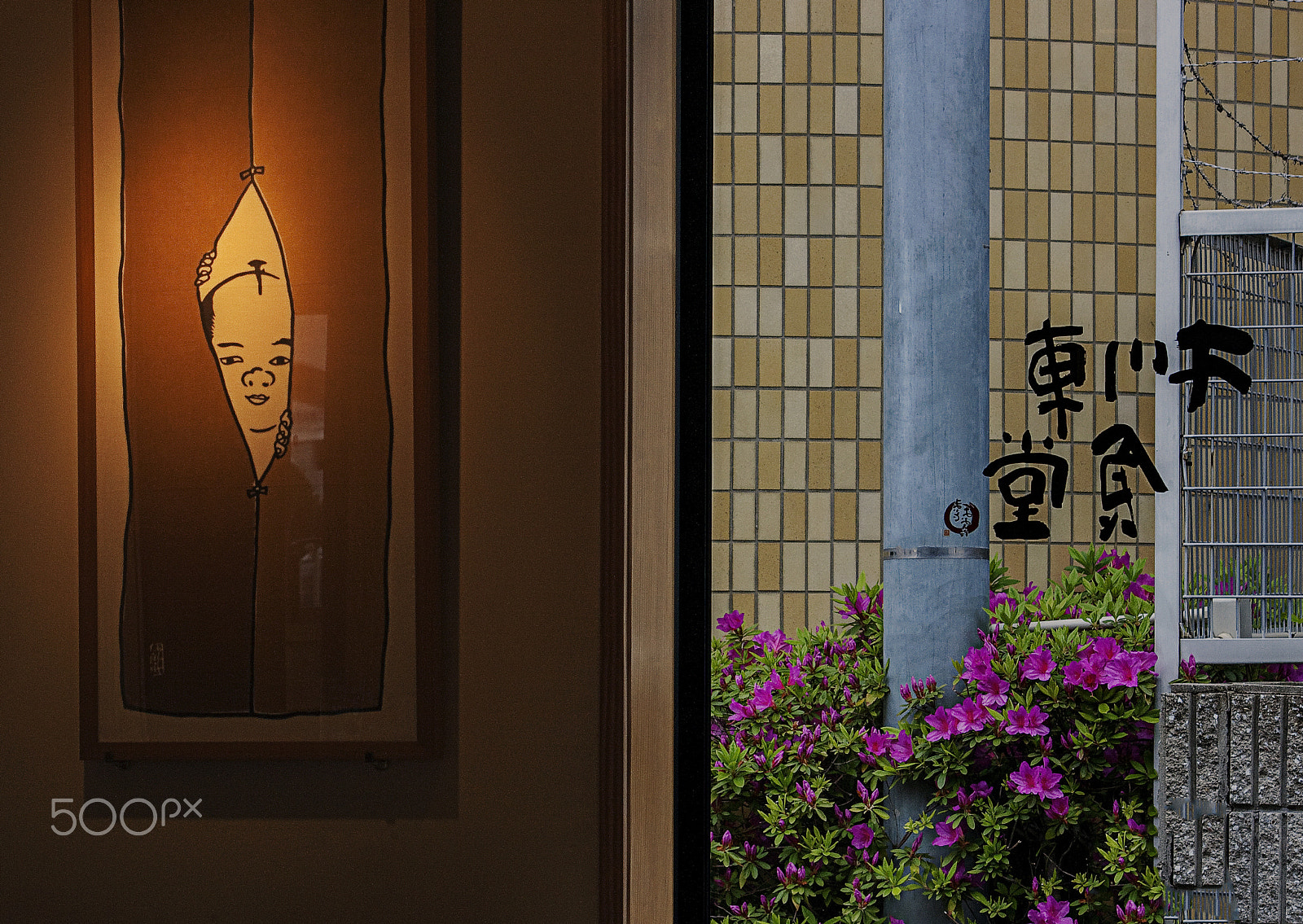 Canon EF-S 55-250mm F4-5.6 IS sample photo. Local in nara, japan photography