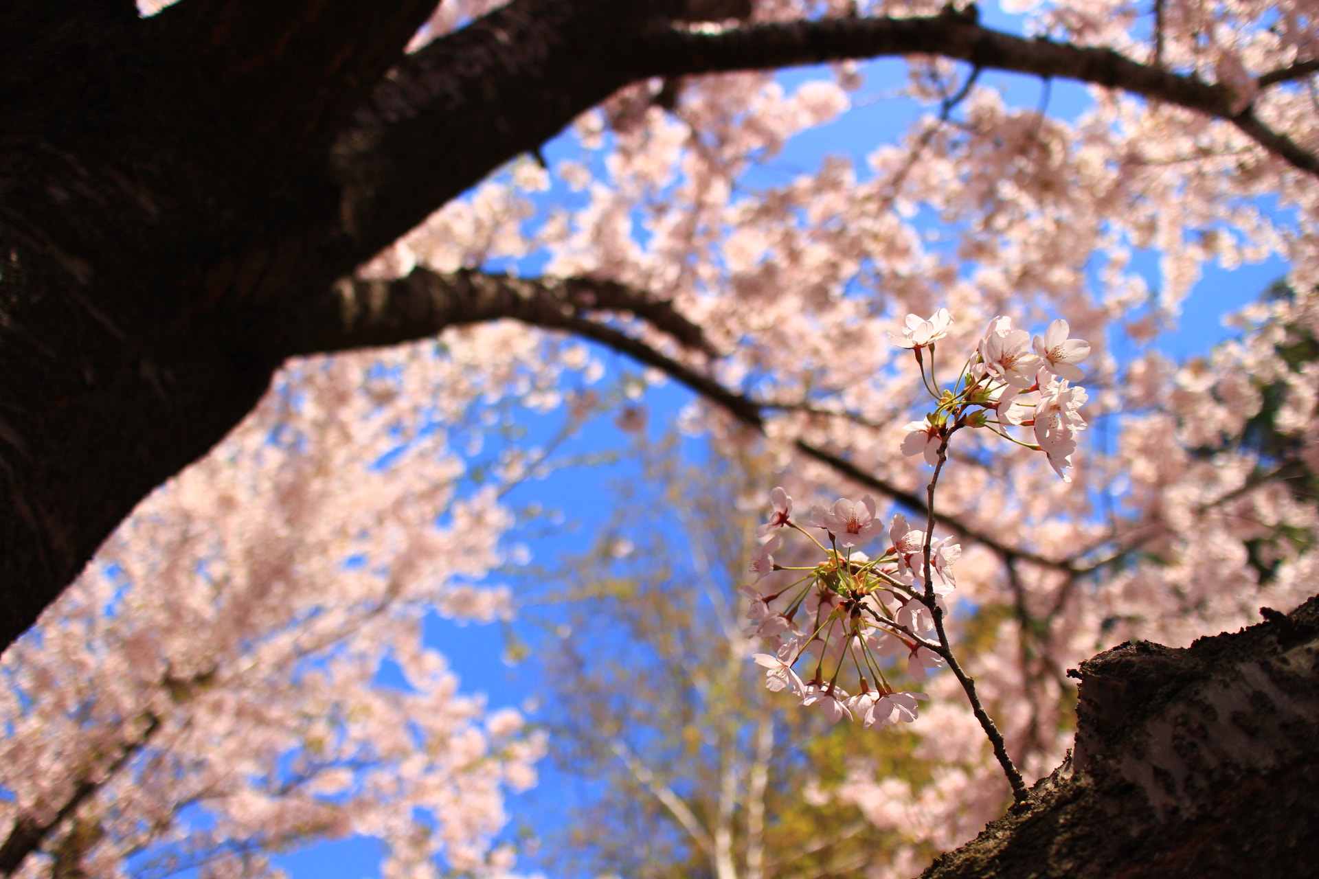 Canon EOS M2 sample photo