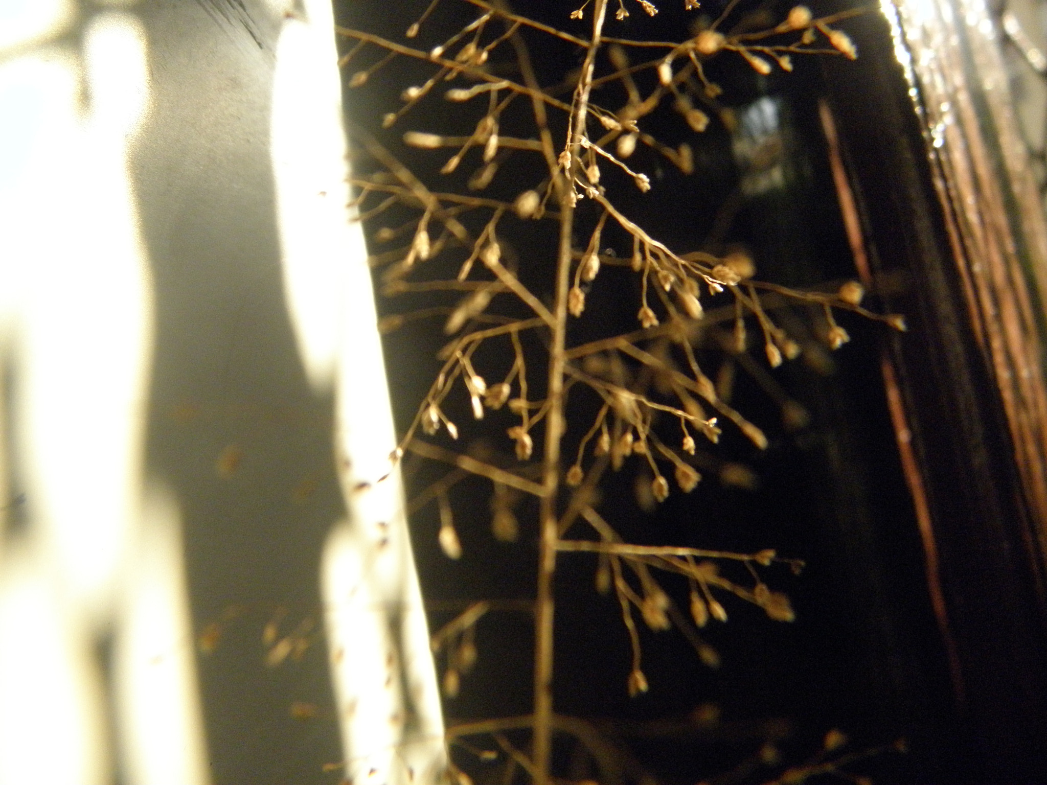 Olympus SP600UZ sample photo. #blur photography