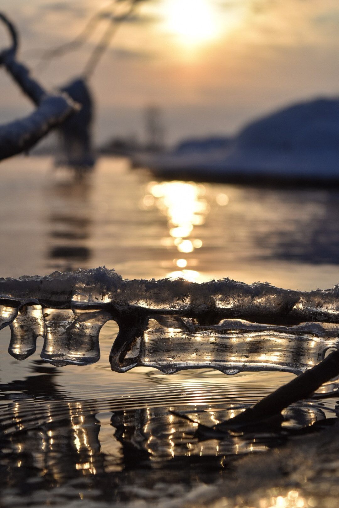 Nikon D5500 sample photo. Brighter day photography