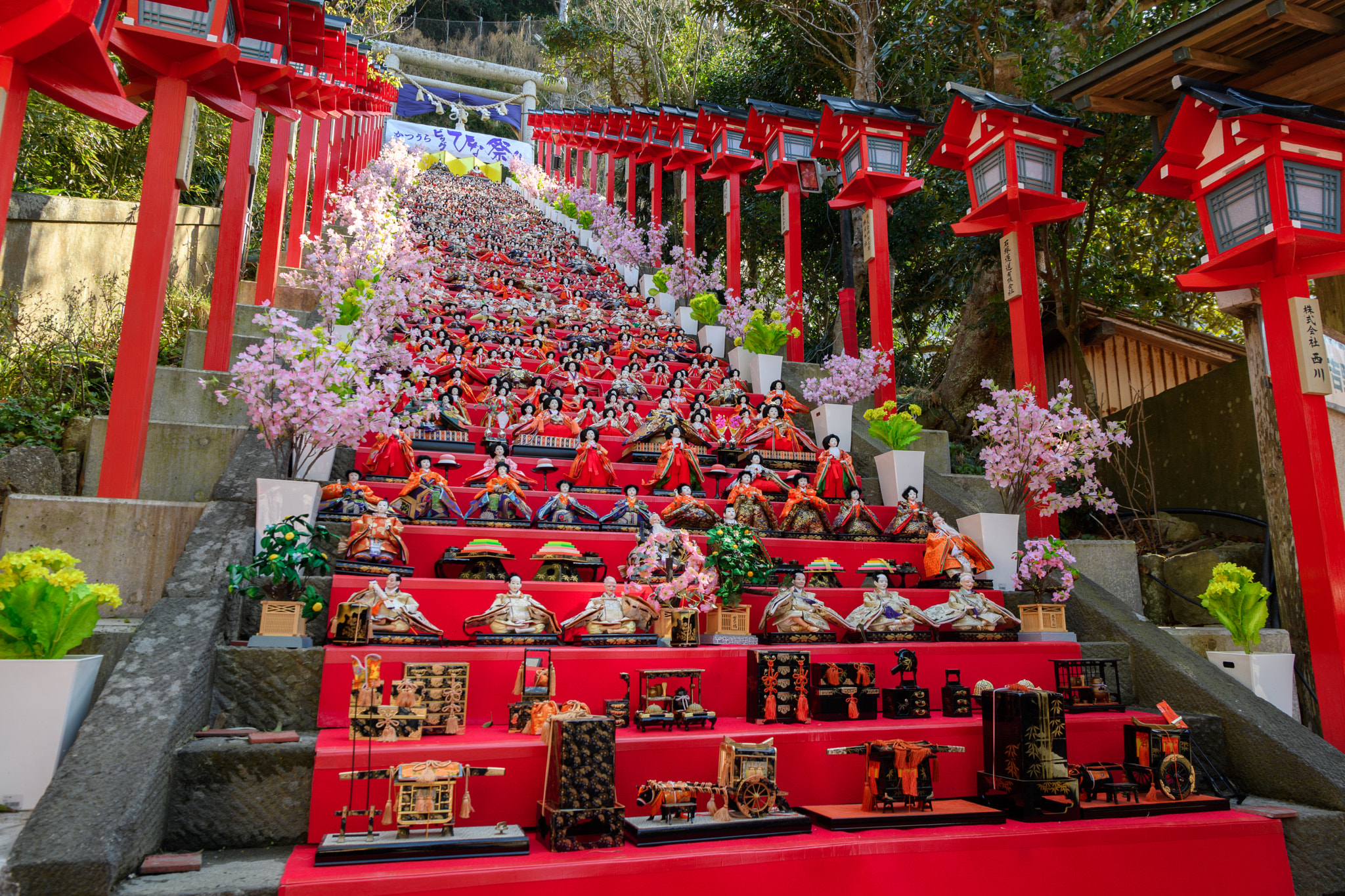 Nikon AF-S Nikkor 24-70mm F2.8E ED VR sample photo. Katsu-ura big "hina-matsuri" festival photography