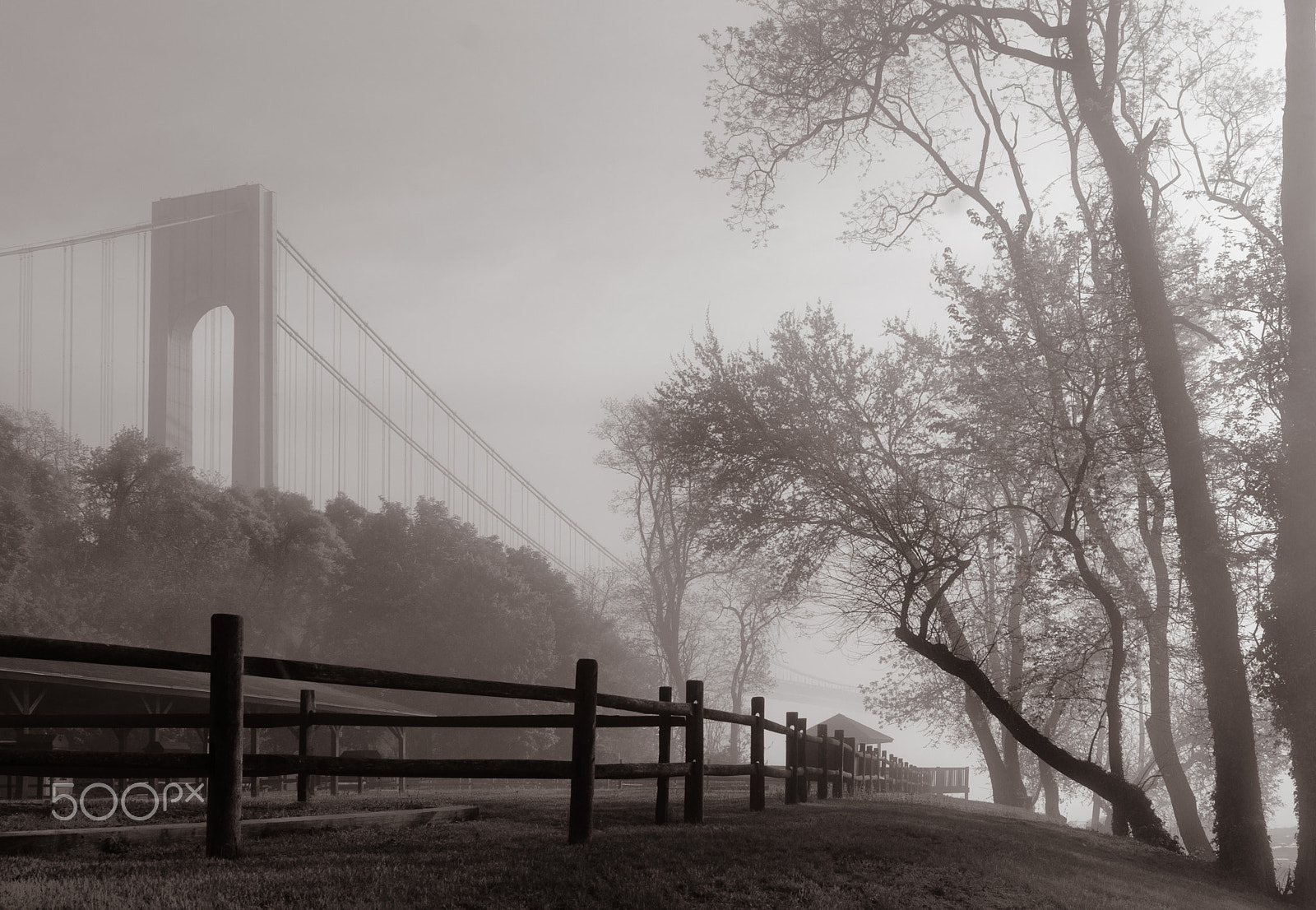 Sigma 24-70mm F2.8 EX DG HSM sample photo. Keep calm and gloom on photography