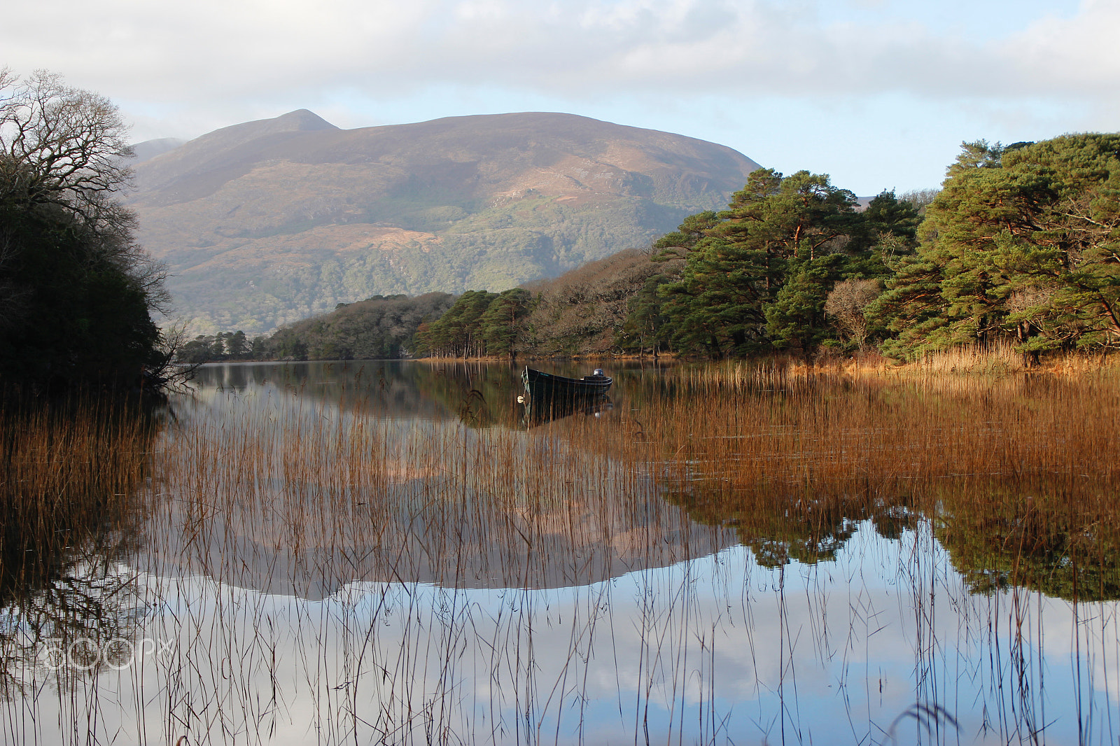 Canon EOS 600D (Rebel EOS T3i / EOS Kiss X5) sample photo. Killarney national park photography