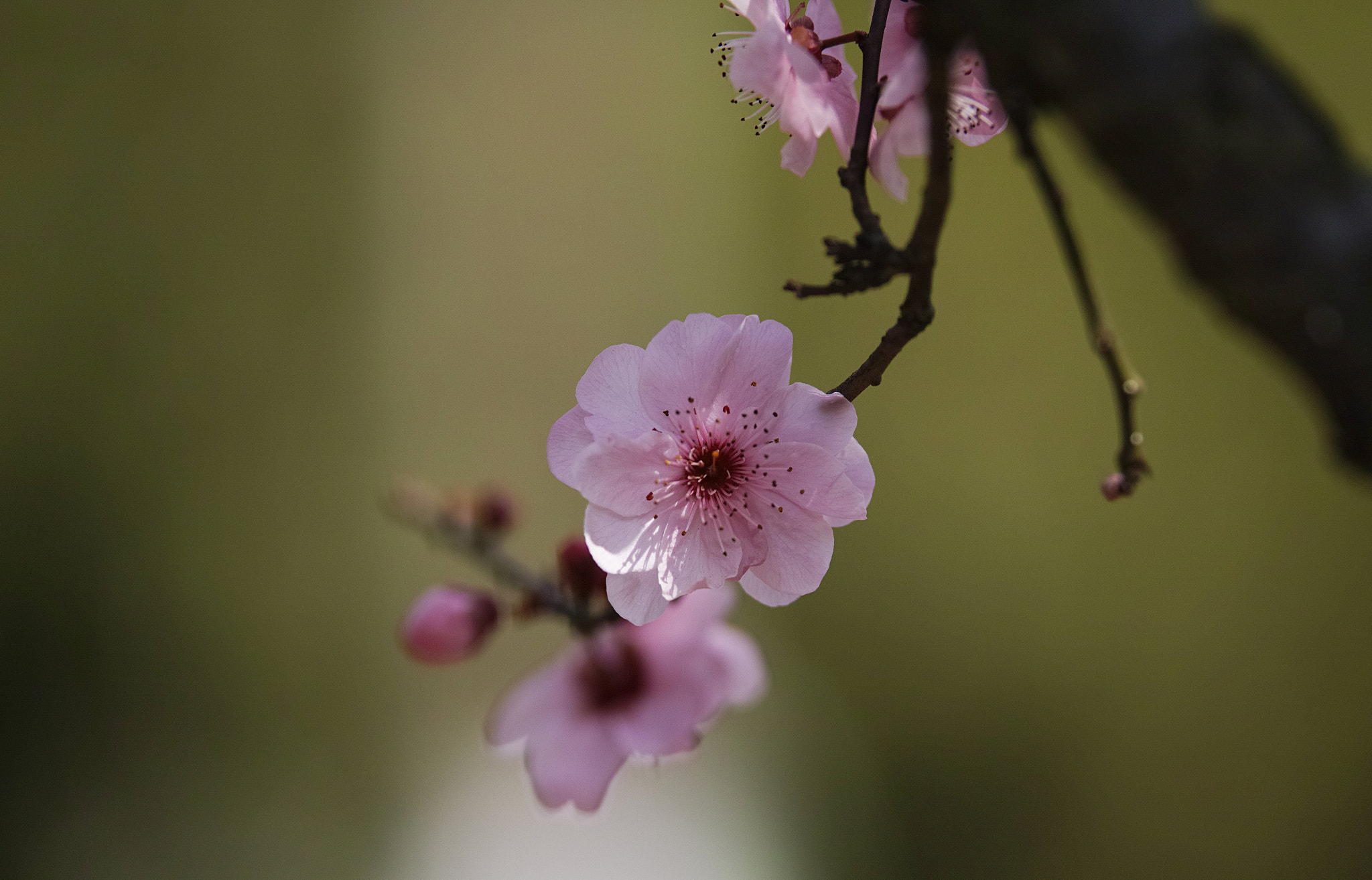 Sigma sd Quattro sample photo