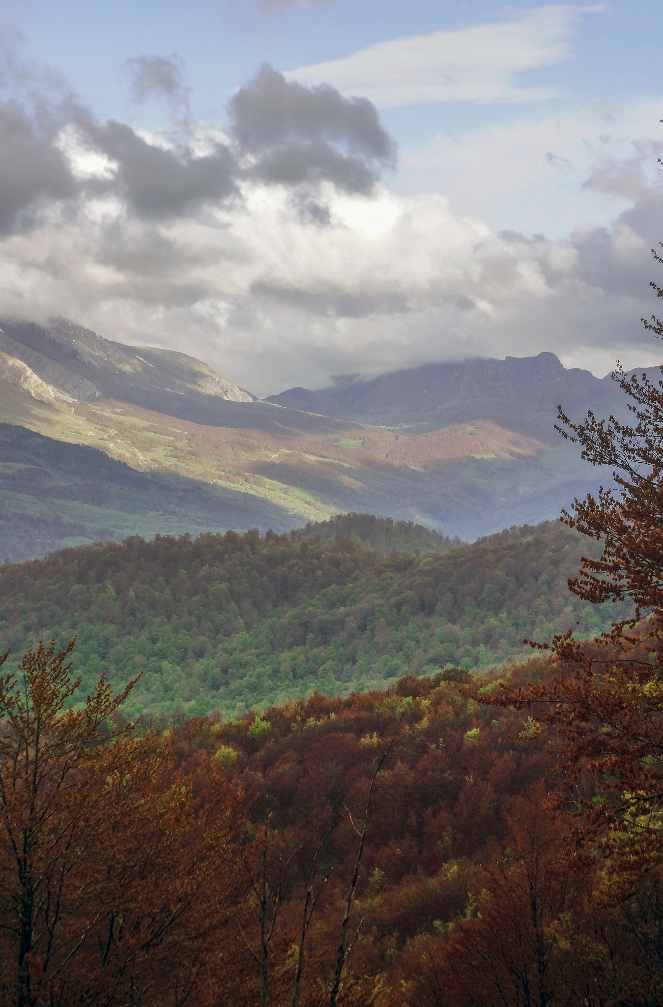 Sony Alpha NEX-7 sample photo. Autumn photography