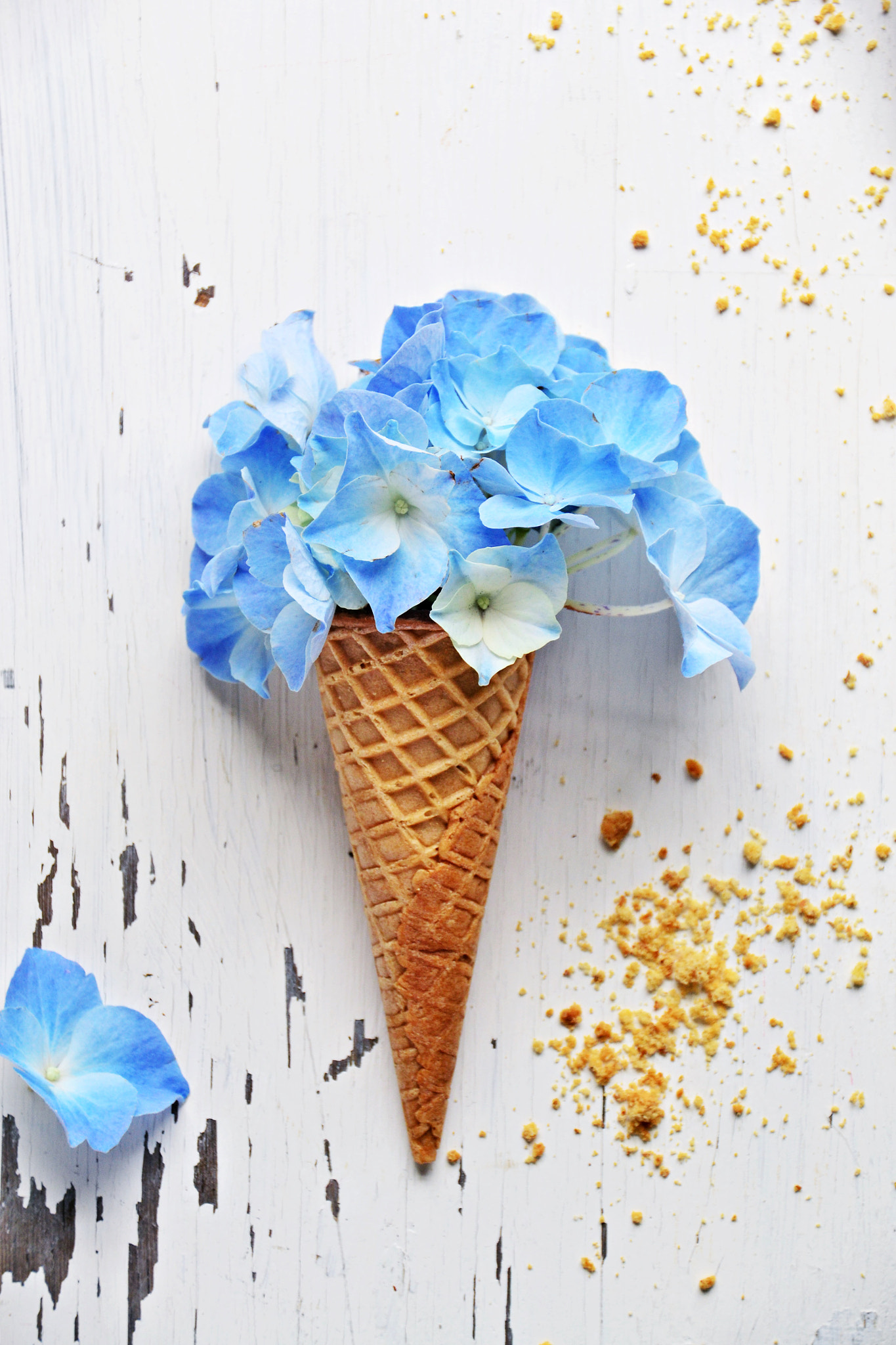 Nikon D3100 + Sigma 18-200mm F3.5-6.3 II DC OS HSM sample photo. Hydrangea ice cream photography