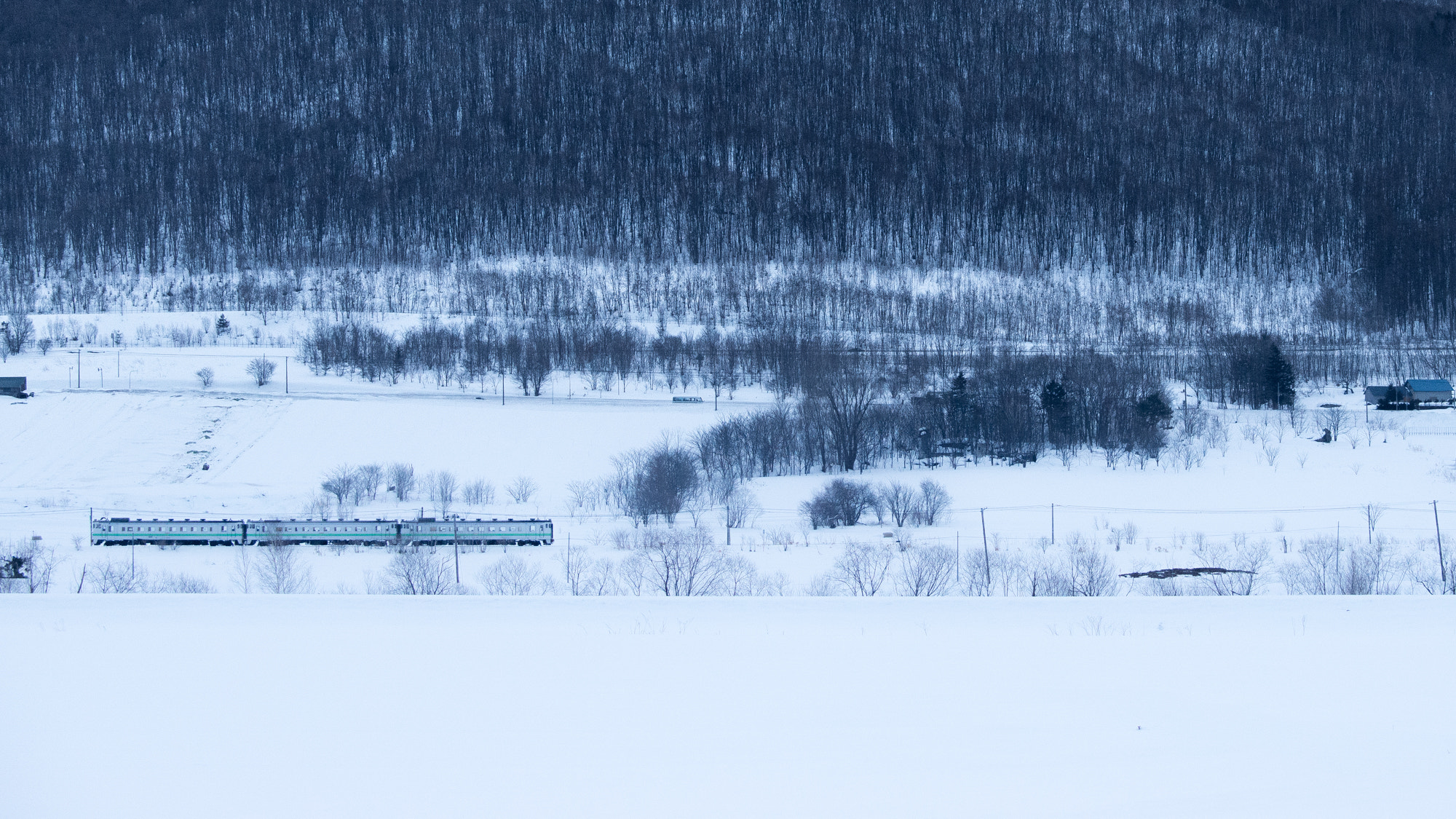 Nikon D800E sample photo. Train for asahikawa photography