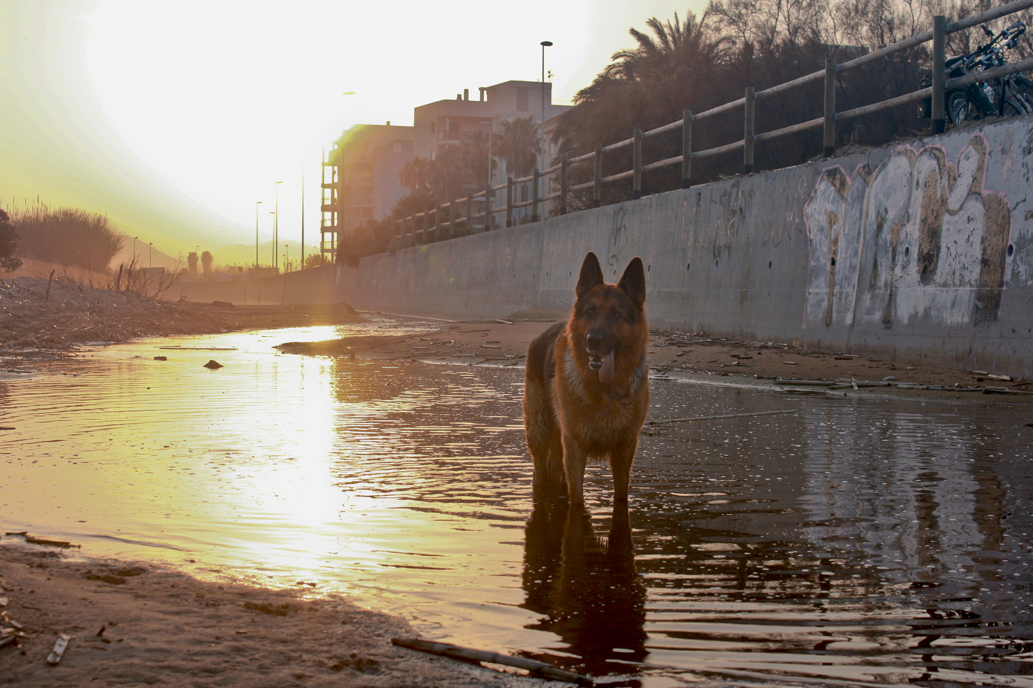 Canon EOS 60D sample photo. Zeus photography