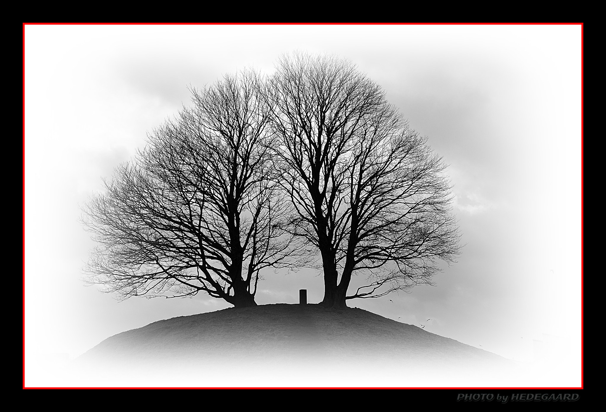 Nikon D5000 sample photo. Winter solitude photography