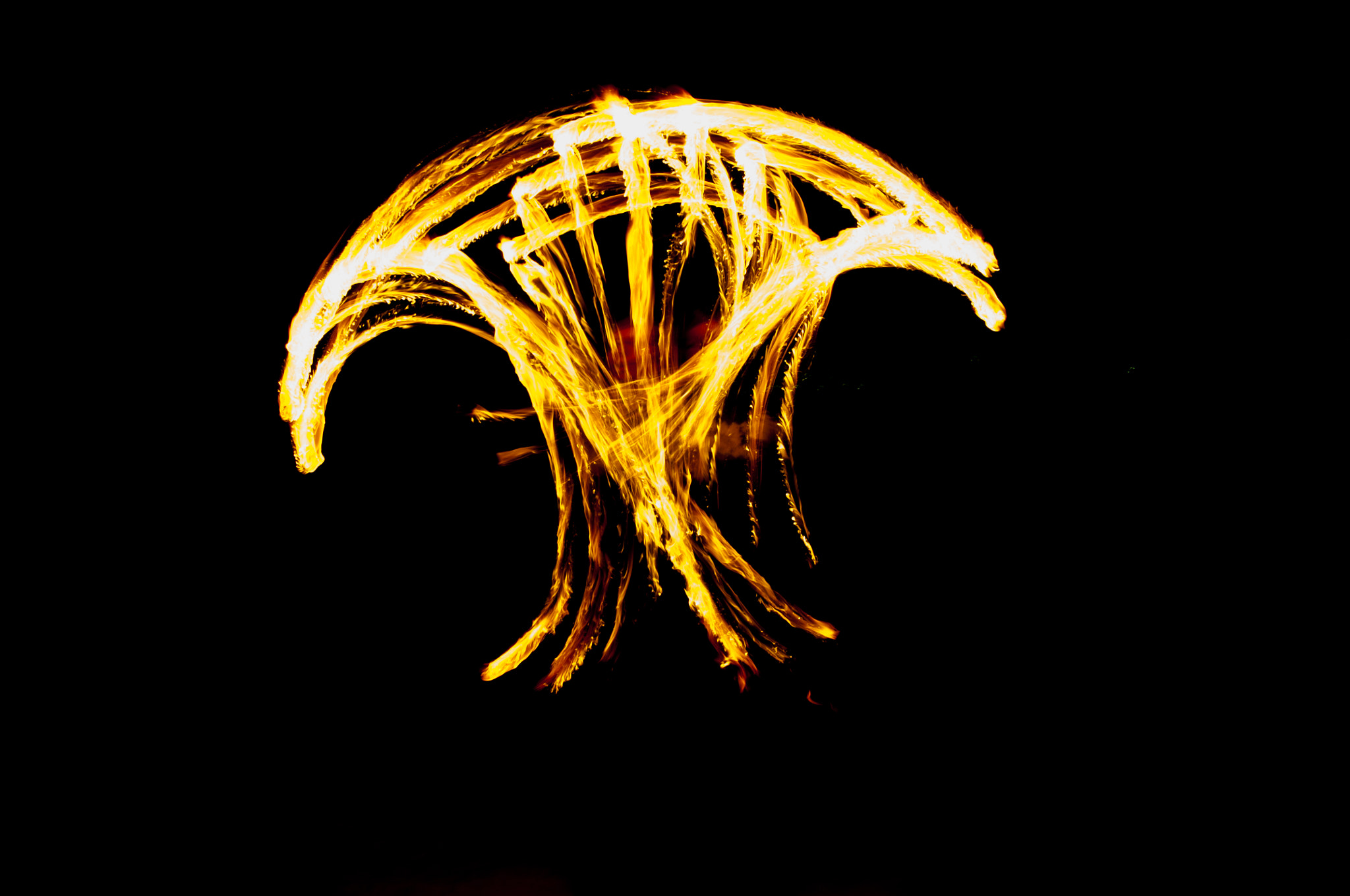 Nikon AF Nikkor 24-85mm F2.8-4D IF sample photo. Abstraction photography