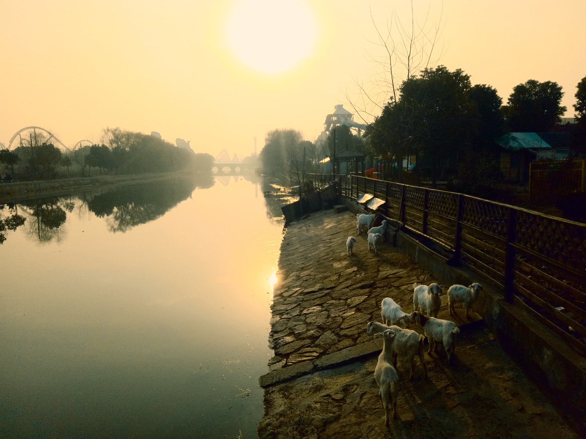 OPPO R9k sample photo. Country morning photography