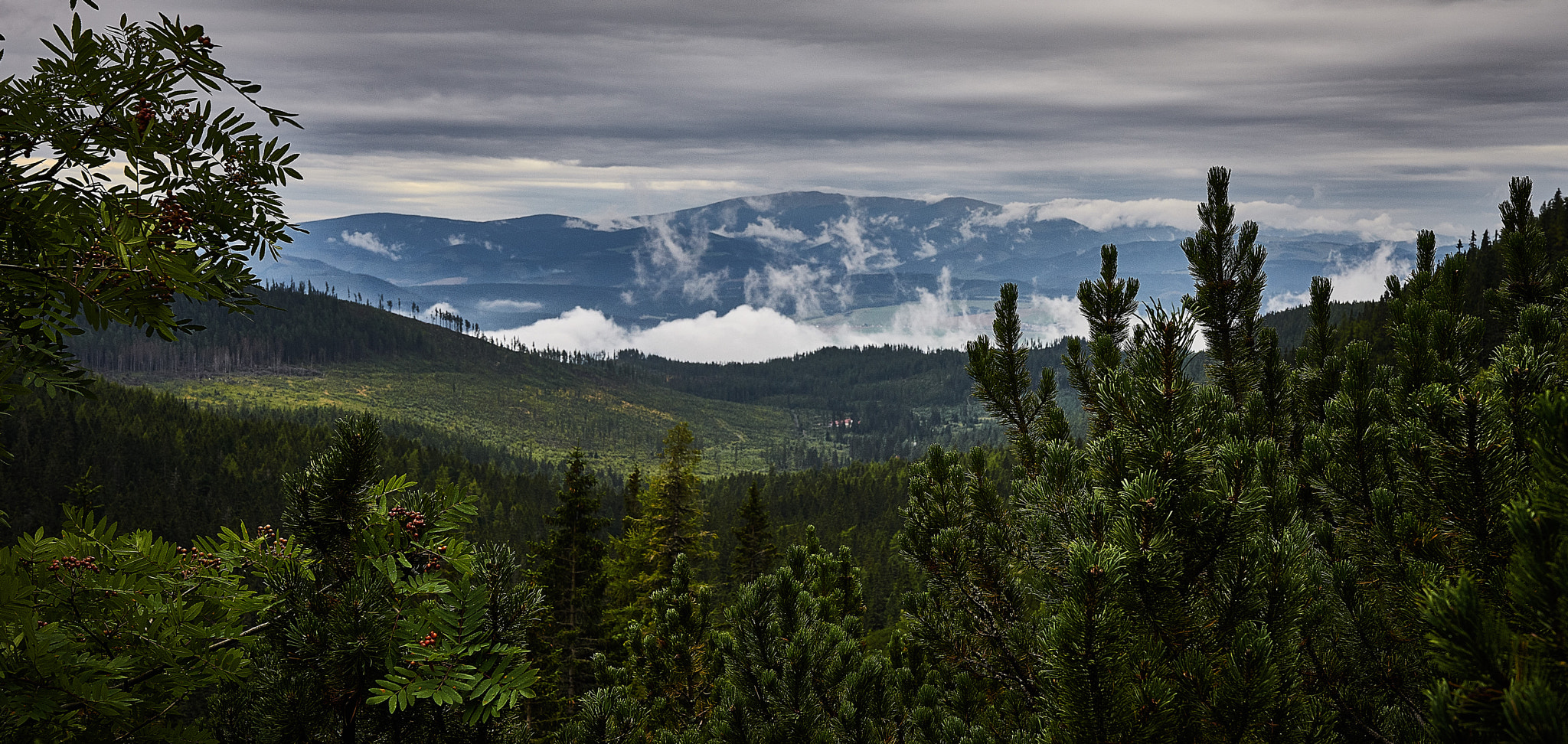 Sony a7 II sample photo. Tatry 1 photography