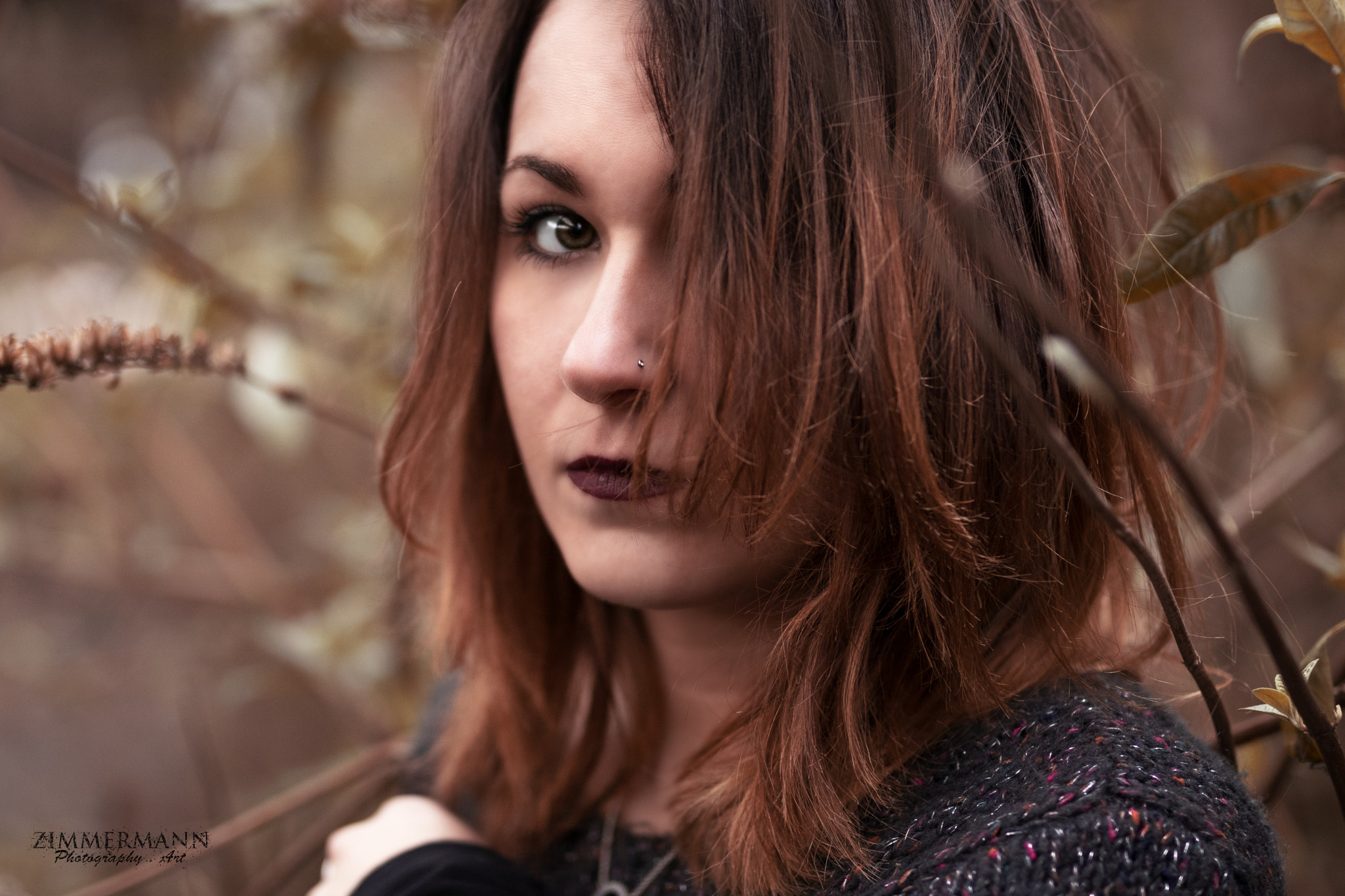 Sigma 50mm F1.4 EX DG HSM sample photo. In the woods photography