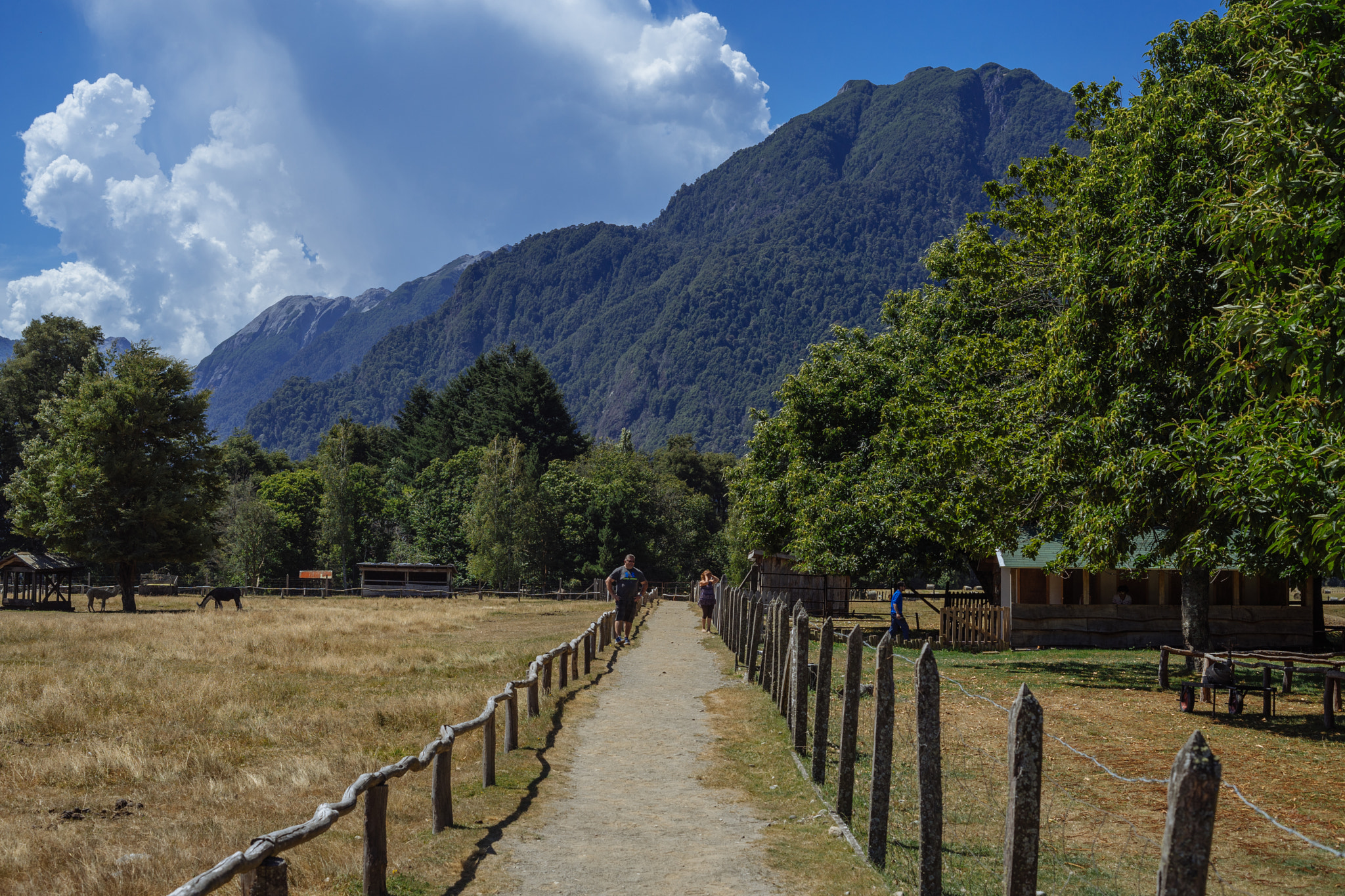 E 50mm F2 sample photo. Path to paradise photography
