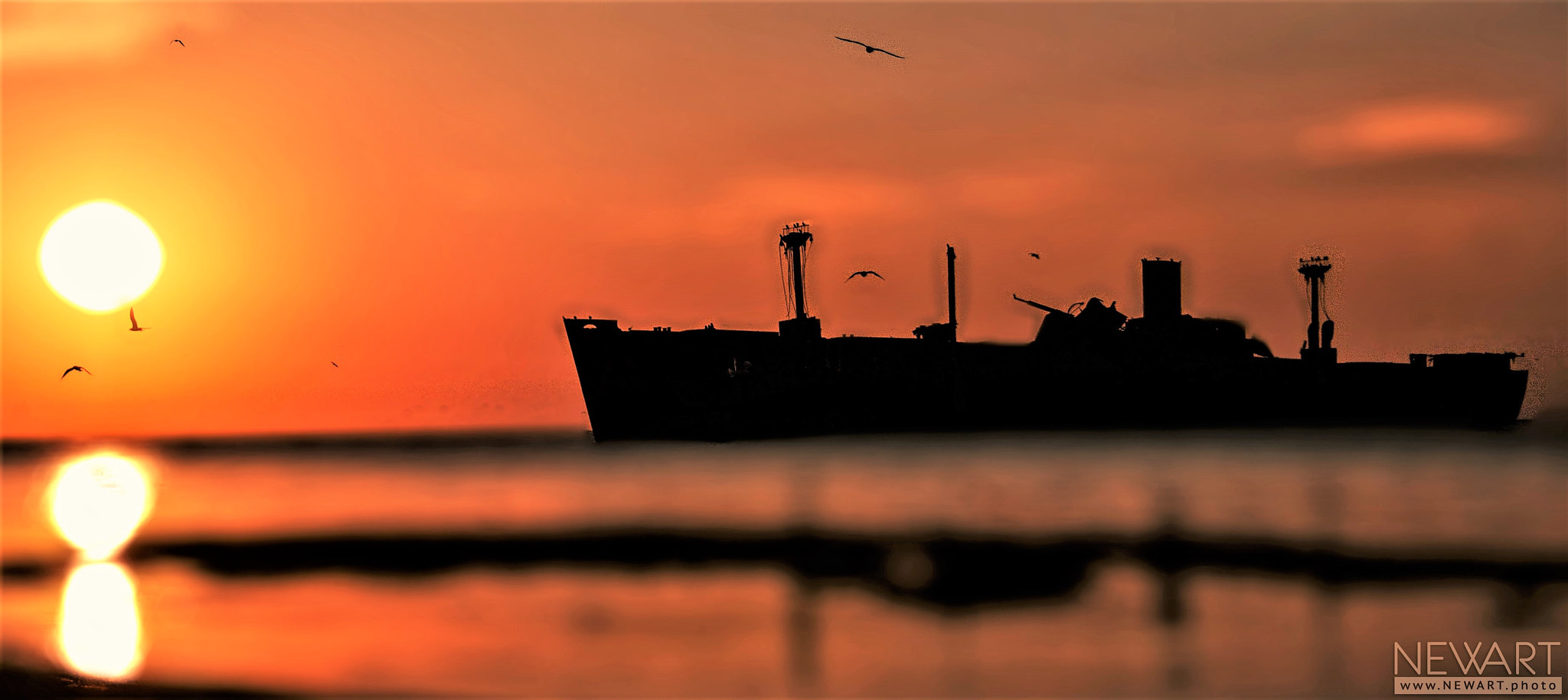 Canon EOS-1Ds Mark II sample photo. Peace photography