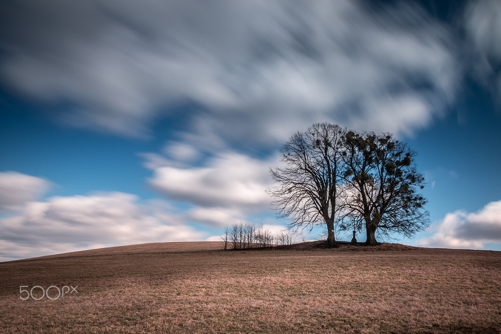 Canon EOS 70D + Canon EF 17-40mm F4L USM sample photo. Tree photography