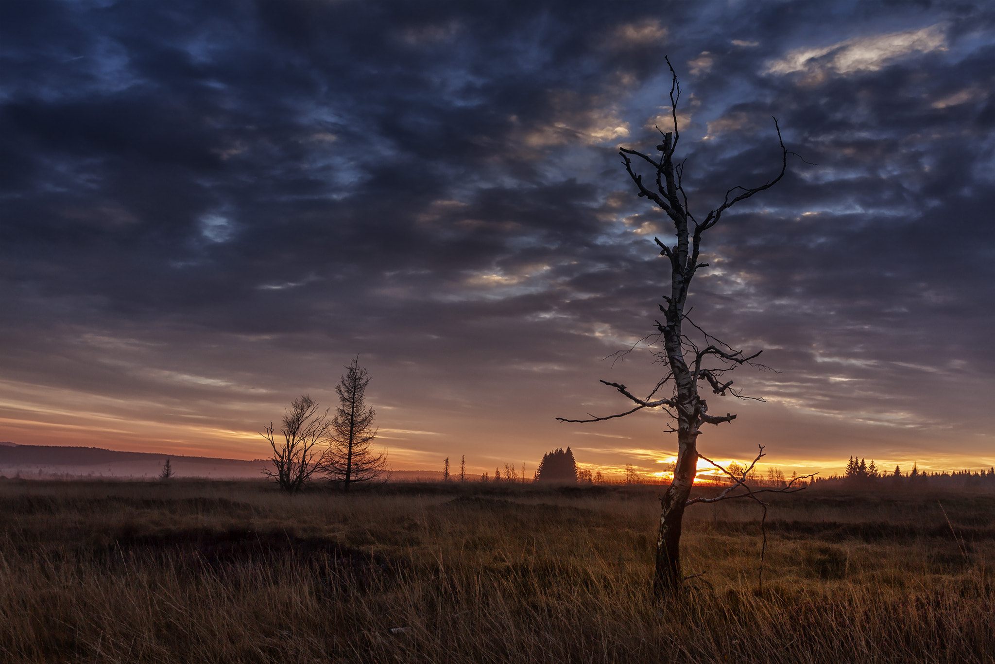 Canon EOS 50D + Canon EF 17-40mm F4L USM sample photo. Au petit matin photography